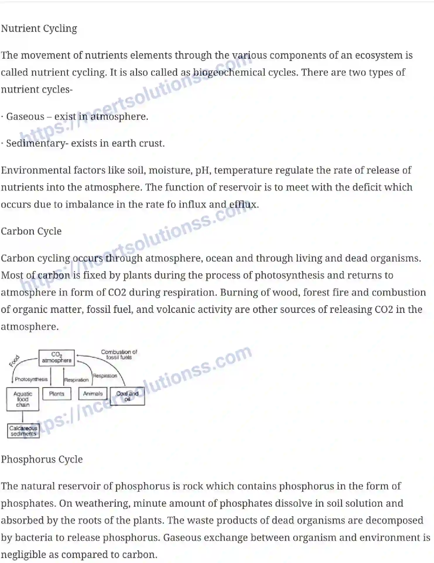 NCERT-Notes-Class-12-Biology-Ecosystem-27-page-7