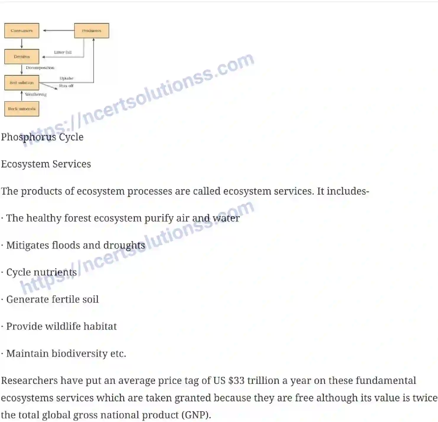 NCERT-Notes-Class-12-Biology-Ecosystem-27-page-8