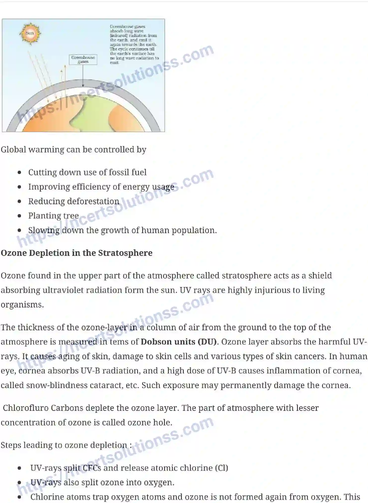 NCERT-Notes-Class-12-Biology-Environmental-Issues-29-page-9