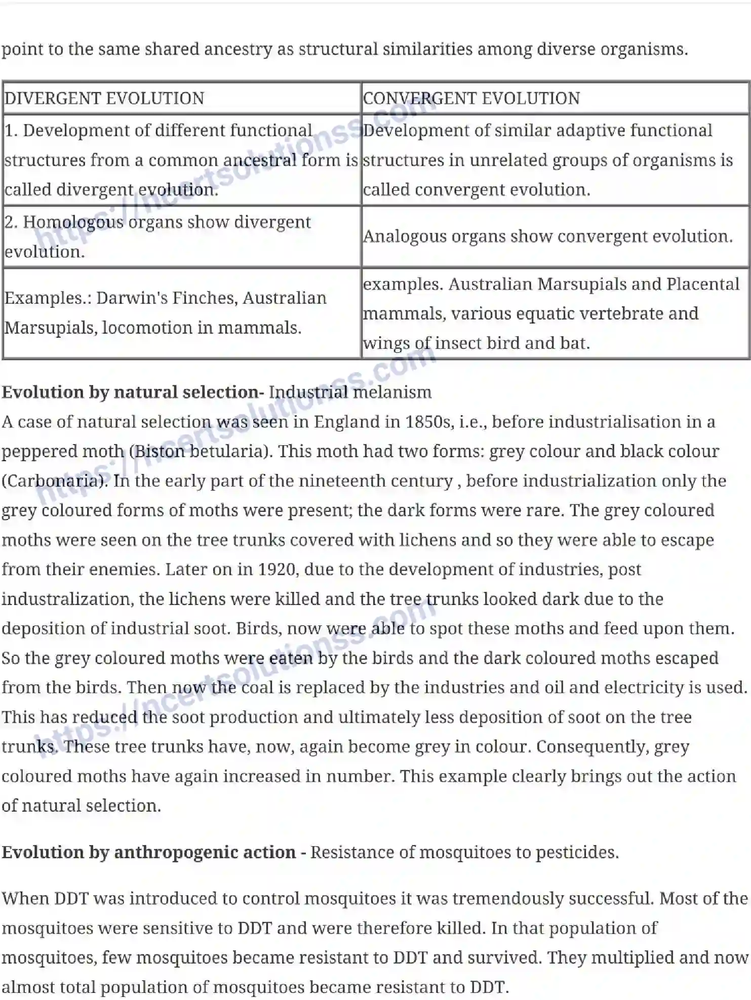 NCERT-Notes-Class-12-Biology-Evolution-20-page-4