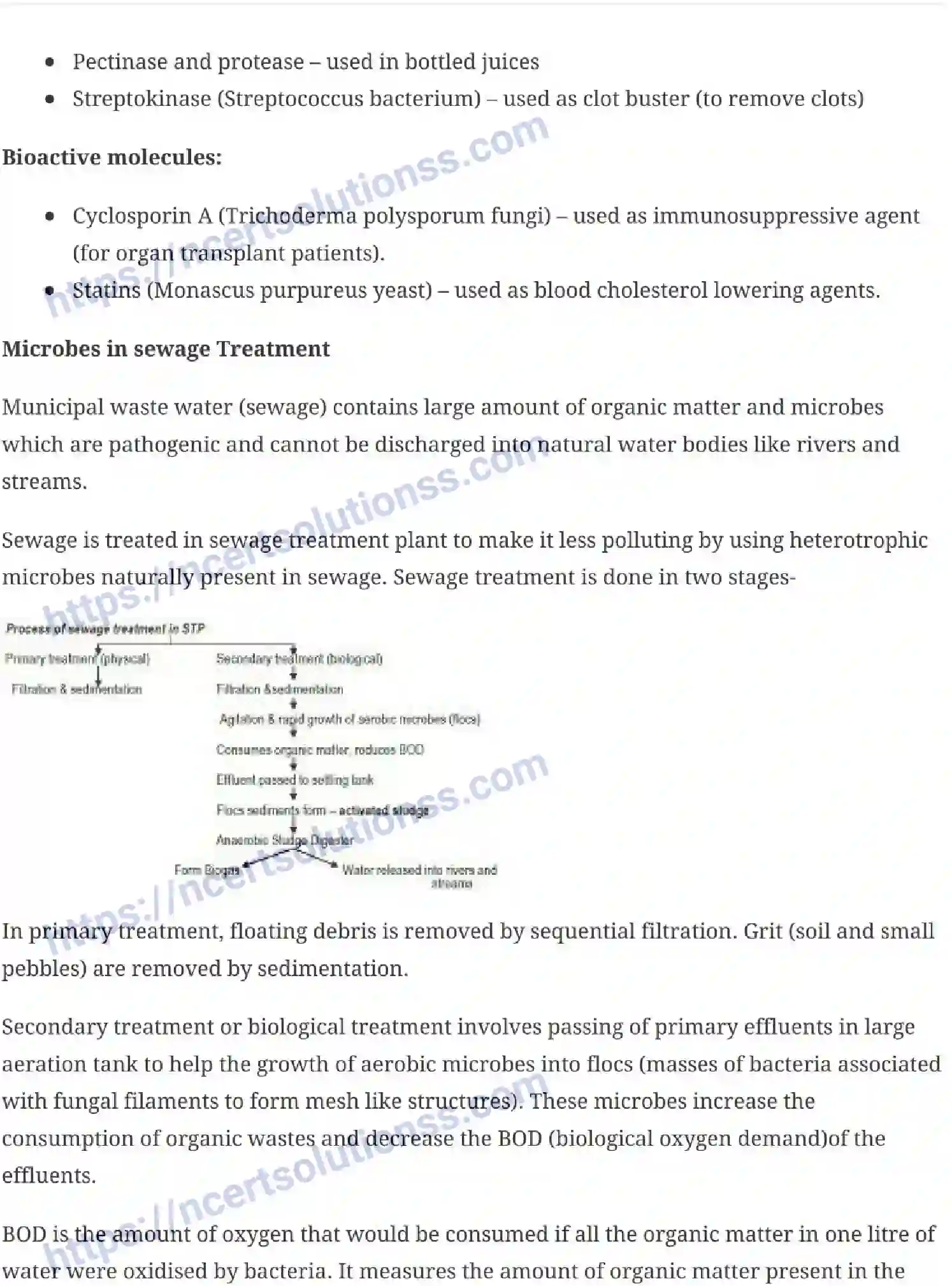 NCERT-Notes-Class-12-Biology-Microbes-in-Human-Welfare-23-page-3