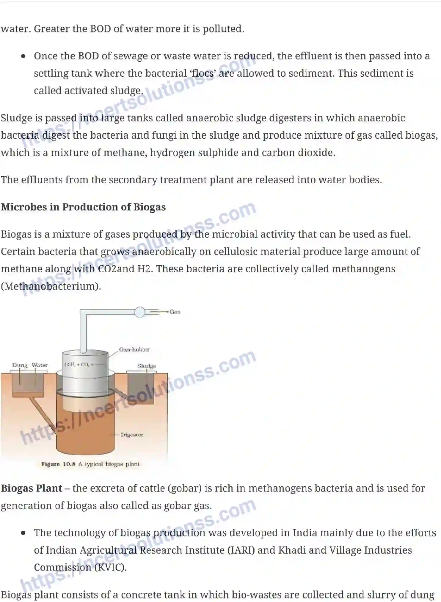 NCERT-Notes-Class-12-Biology-Microbes-in-Human-Welfare-23-page-4