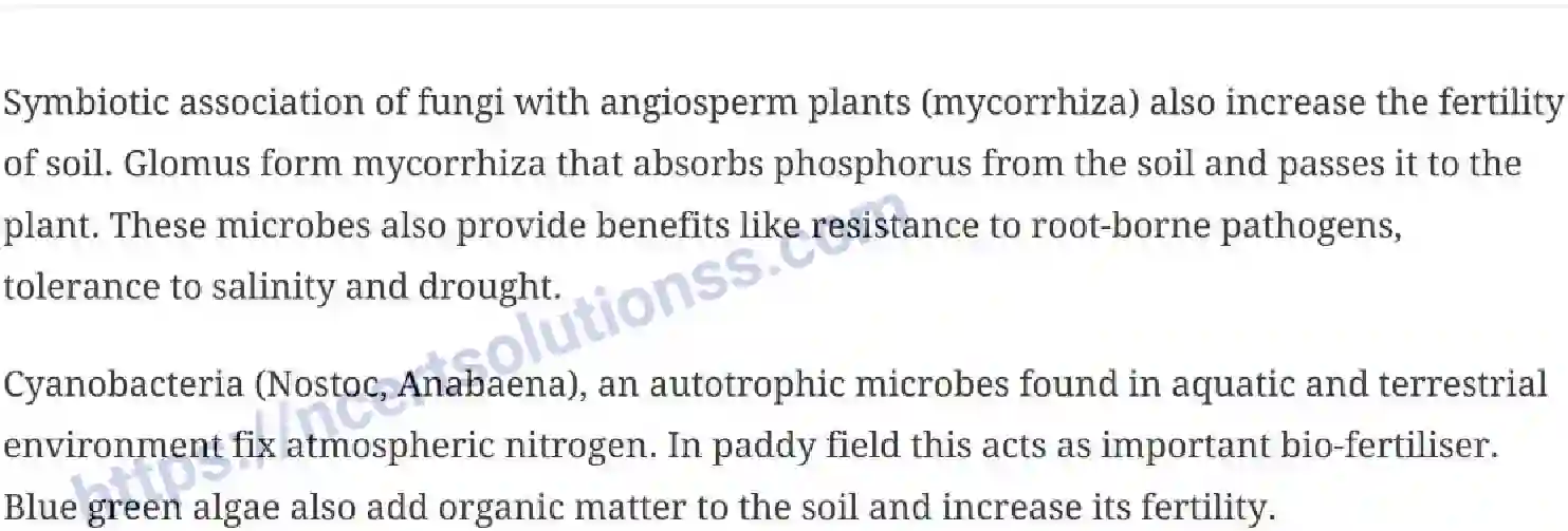 NCERT-Notes-Class-12-Biology-Microbes-in-Human-Welfare-23-page-6