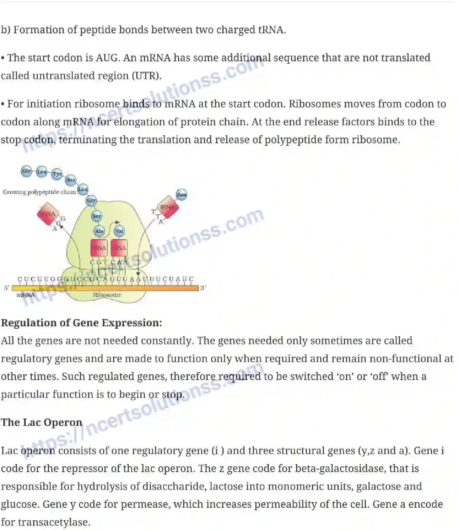 NCERT-Notes-Class-12-Biology-Molecular-Basis-of-Inheritance-19-page-12