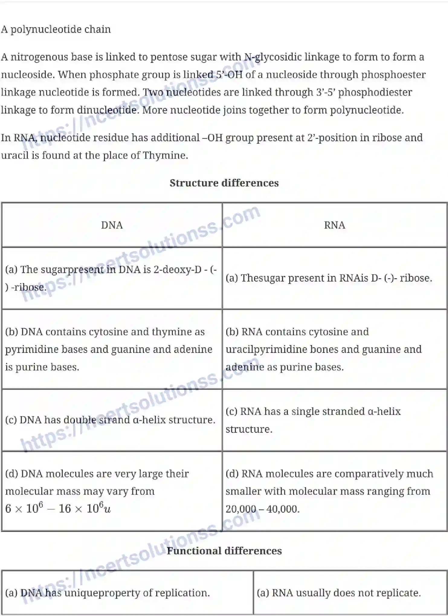 NCERT-Notes-Class-12-Biology-Molecular-Basis-of-Inheritance-19-page-2