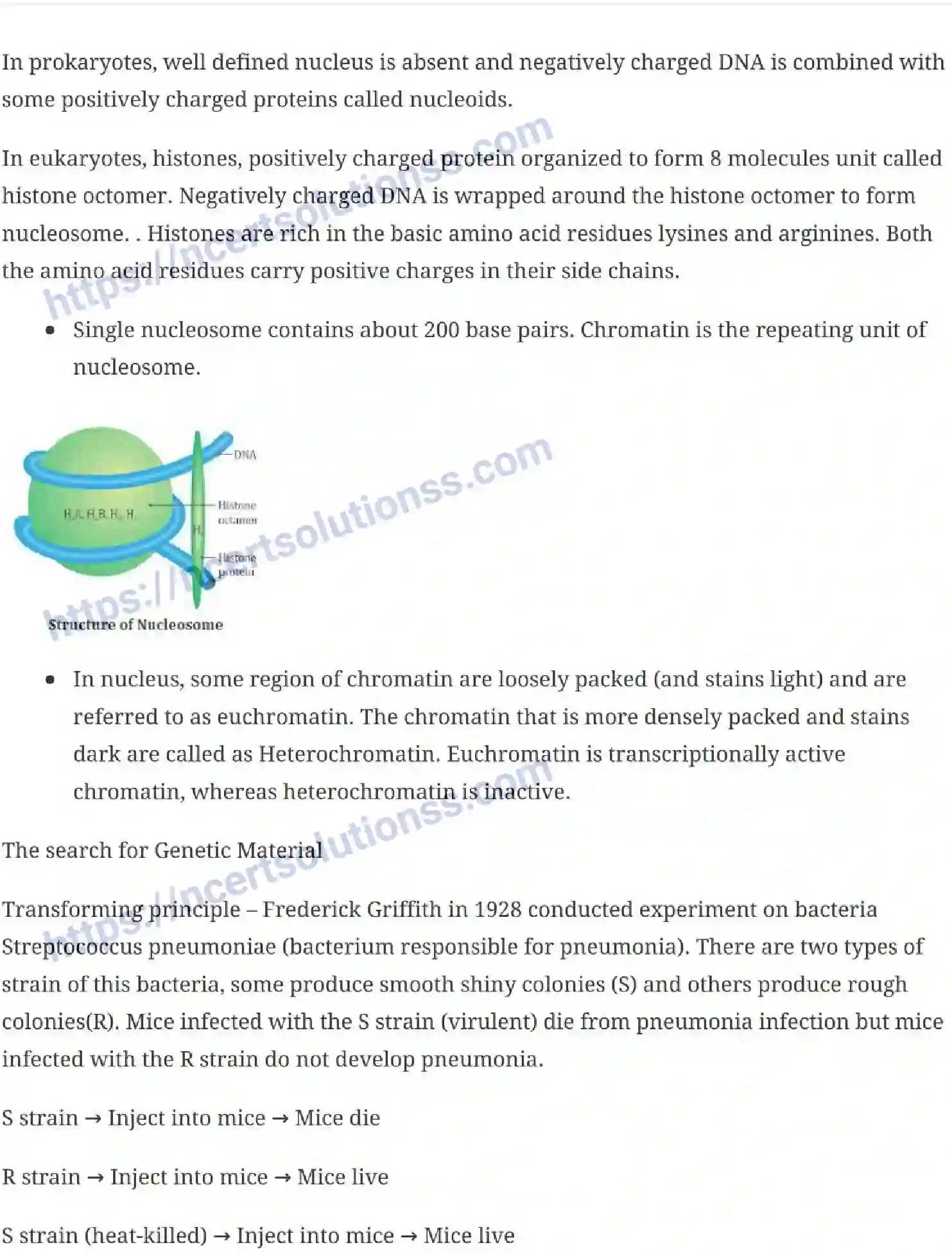 NCERT-Notes-Class-12-Biology-Molecular-Basis-of-Inheritance-19-page-4