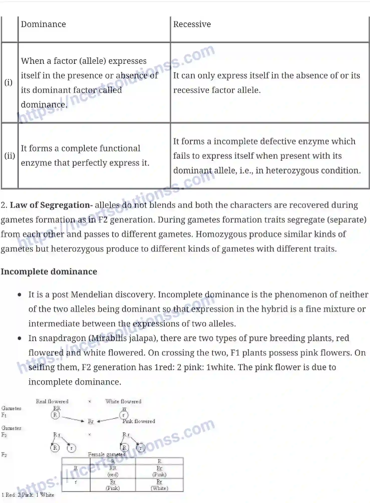 NCERT-Notes-Class-12-Biology-Principles-of-Inheritance-and-Variation-18-page-5