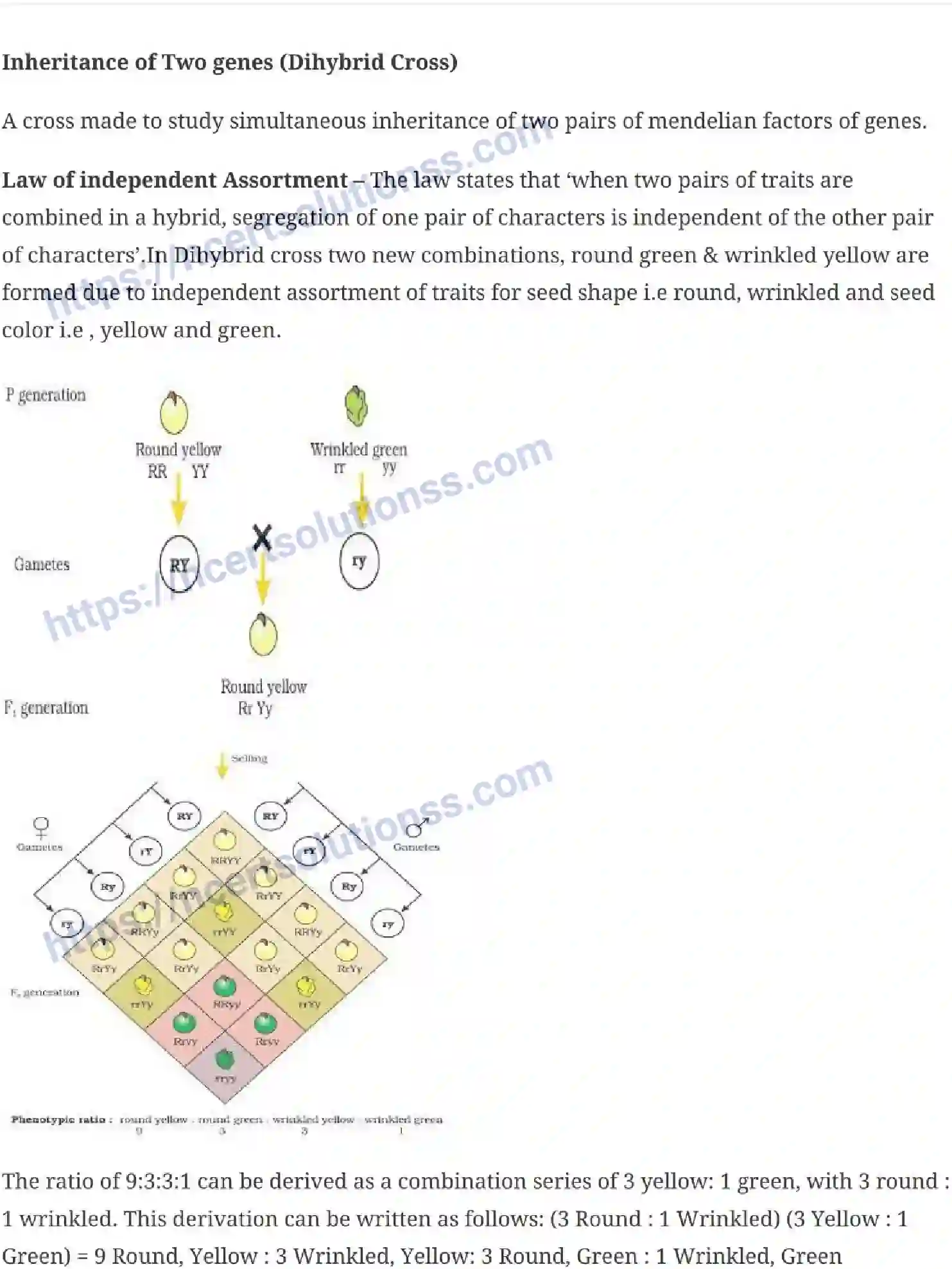NCERT-Notes-Class-12-Biology-Principles-of-Inheritance-and-Variation-18-page-7