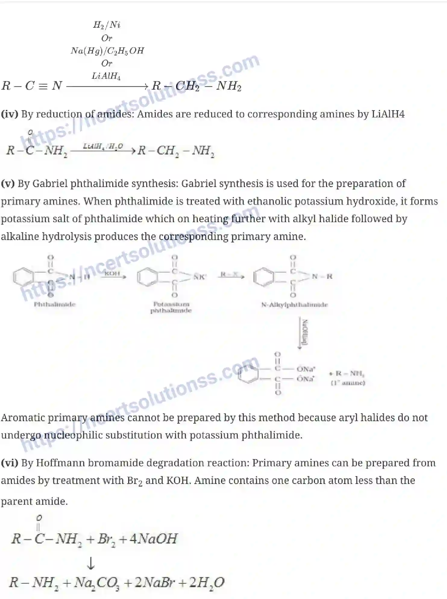 NCERT-Notes-Class-12-Chemistry-Amines-42-page-3
