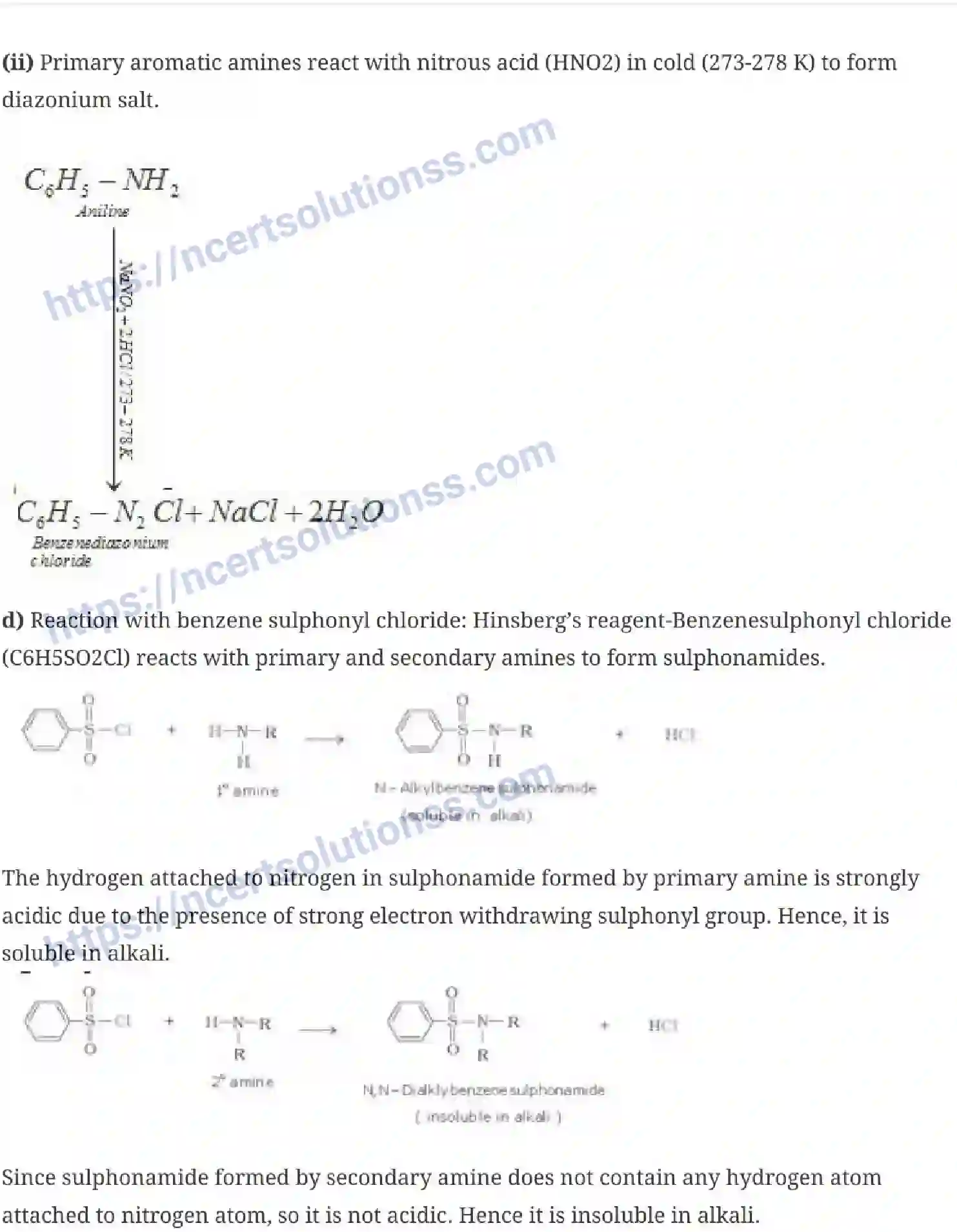 NCERT-Notes-Class-12-Chemistry-Amines-42-page-8
