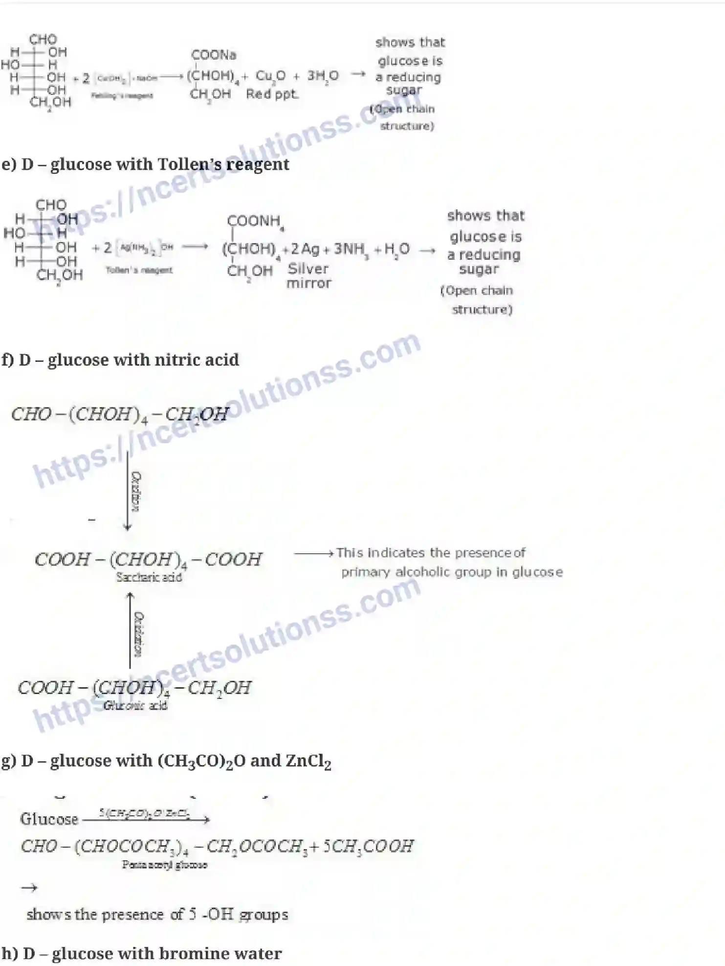NCERT-Notes-Class-12-Chemistry-Biomolecules-43-page-3