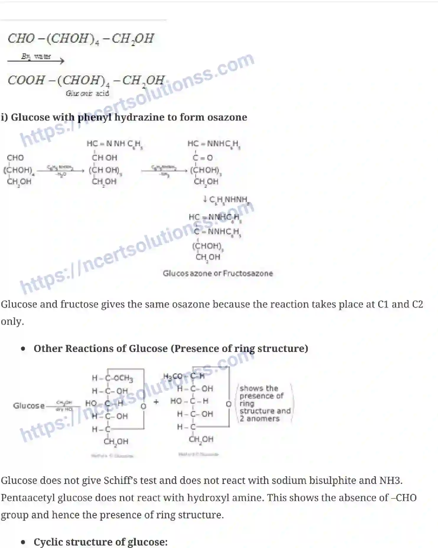 NCERT-Notes-Class-12-Chemistry-Biomolecules-43-page-4