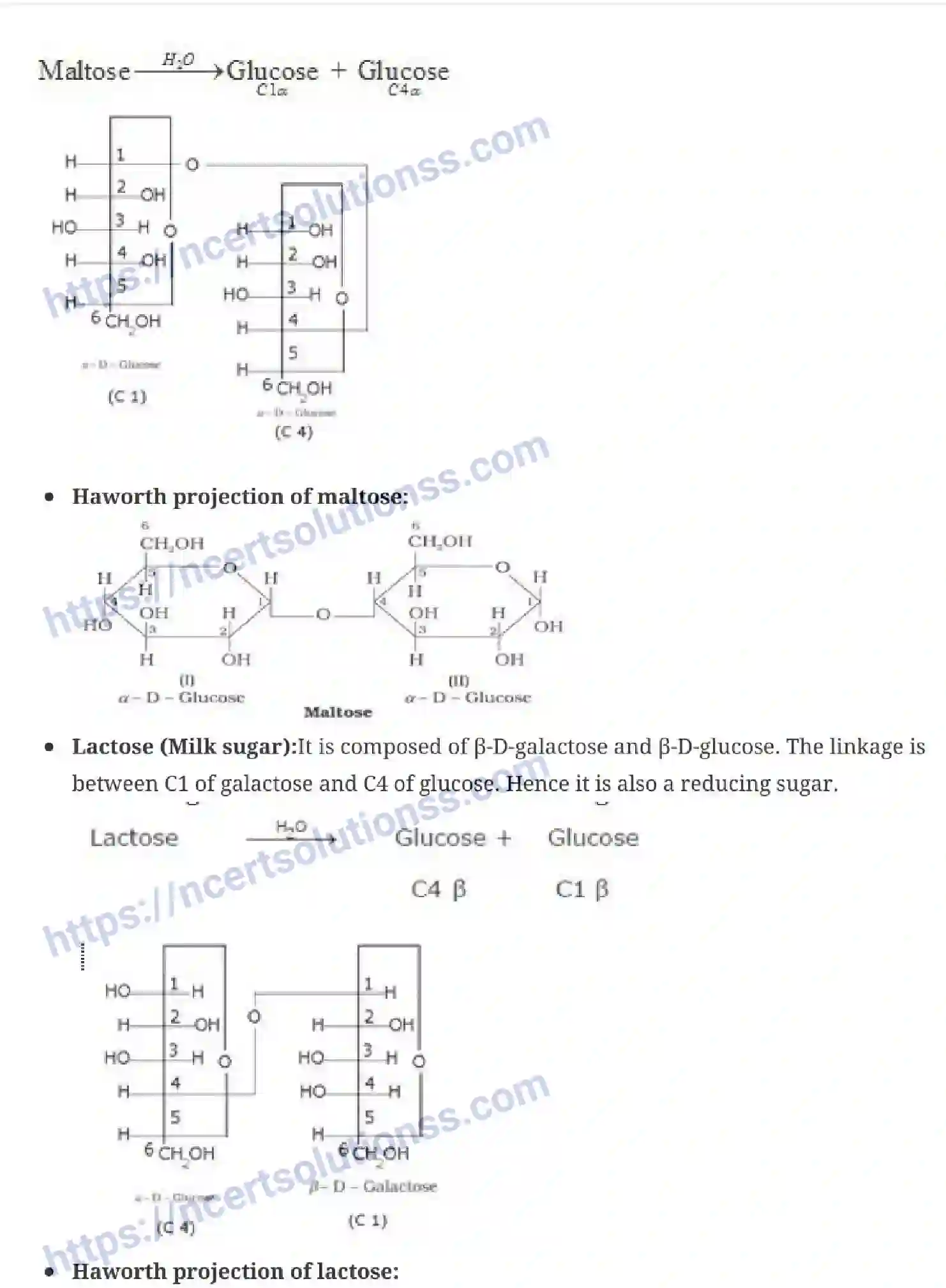 NCERT-Notes-Class-12-Chemistry-Biomolecules-43-page-7