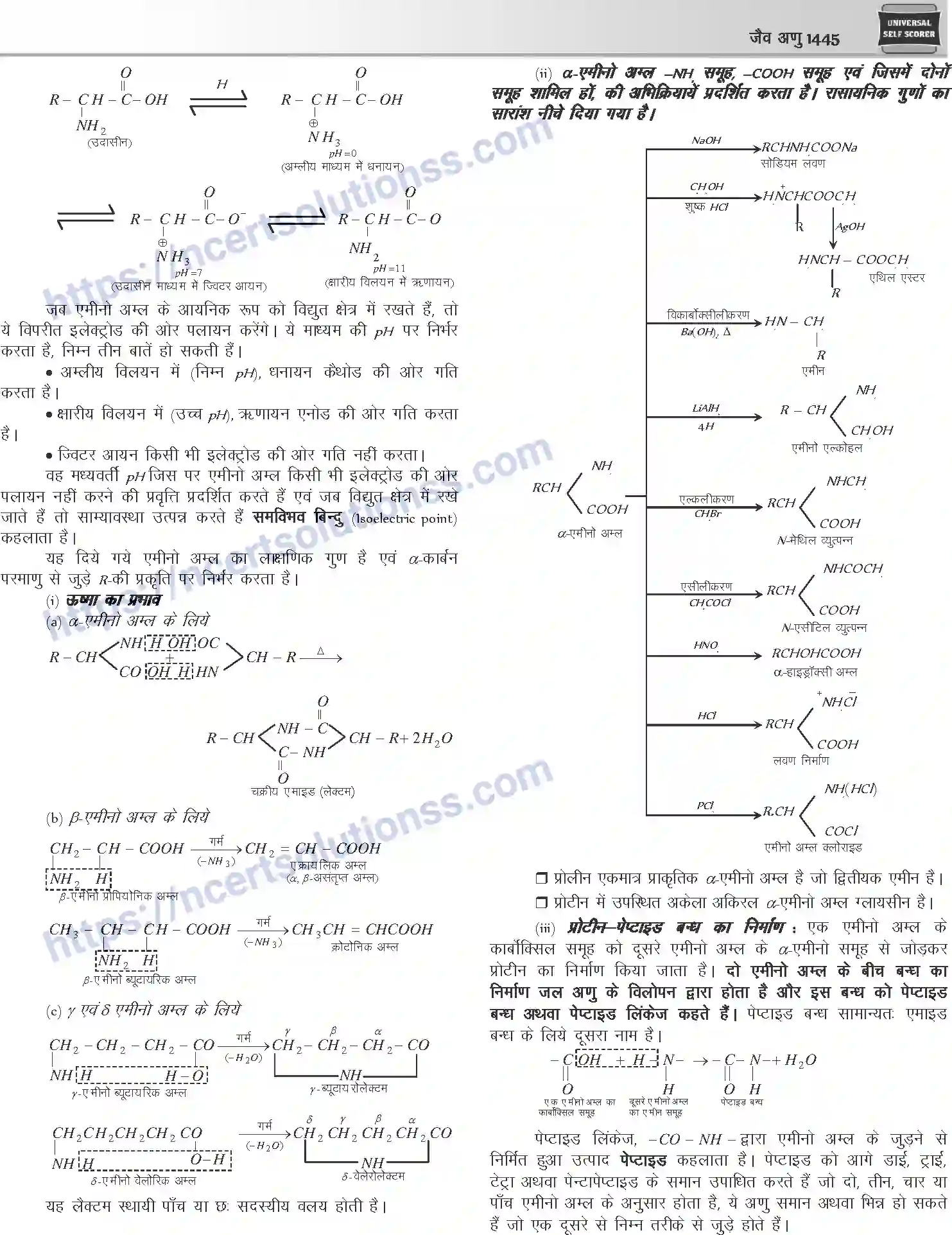 NCERT-Notes-Class-12-Chemistry-जैवअणु-1101-page-10