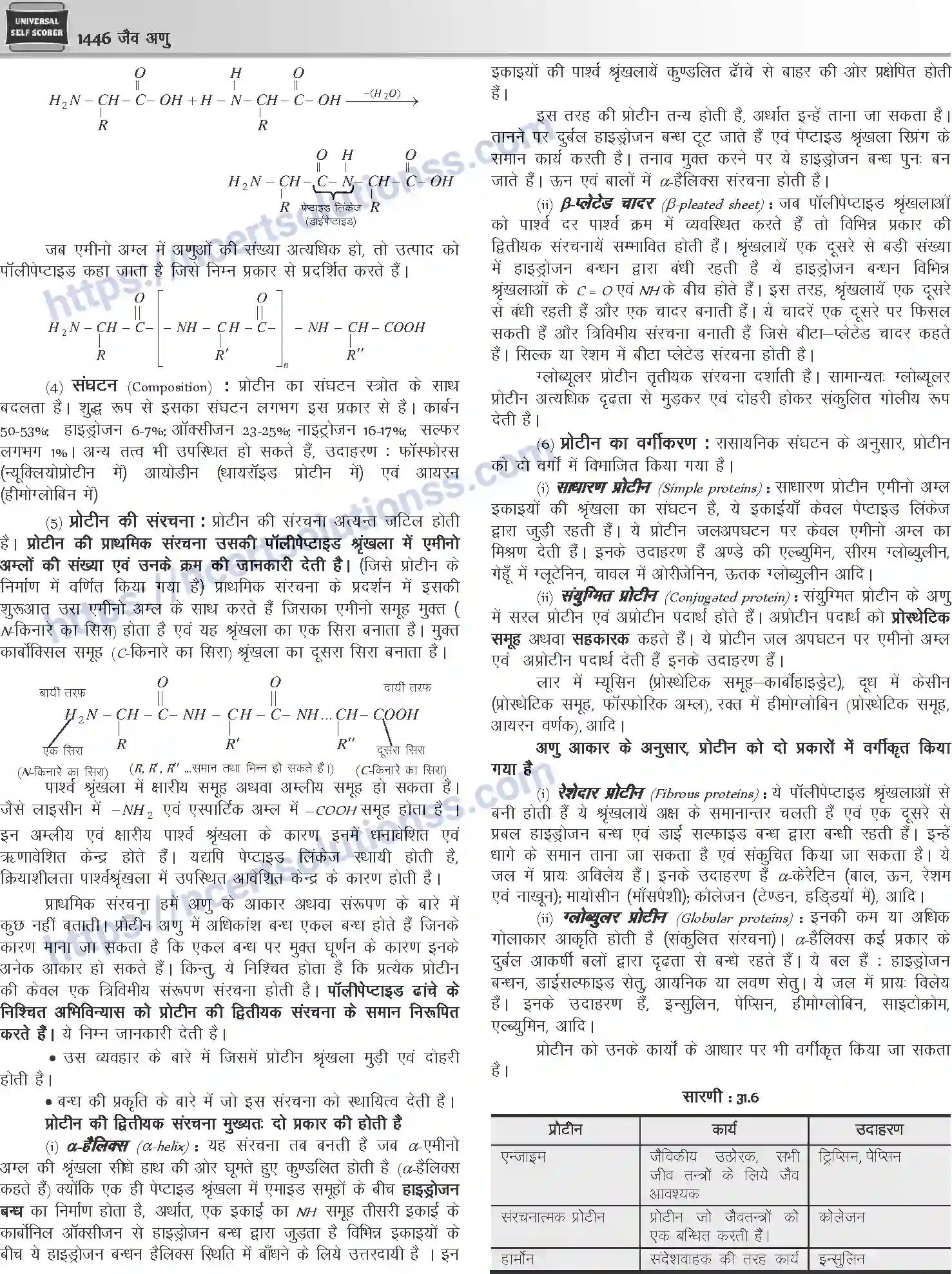 NCERT-Notes-Class-12-Chemistry-जैवअणु-1101-page-11