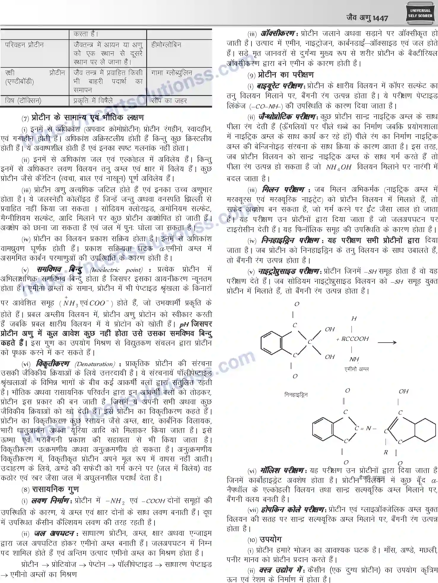 NCERT-Notes-Class-12-Chemistry-जैवअणु-1101-page-12