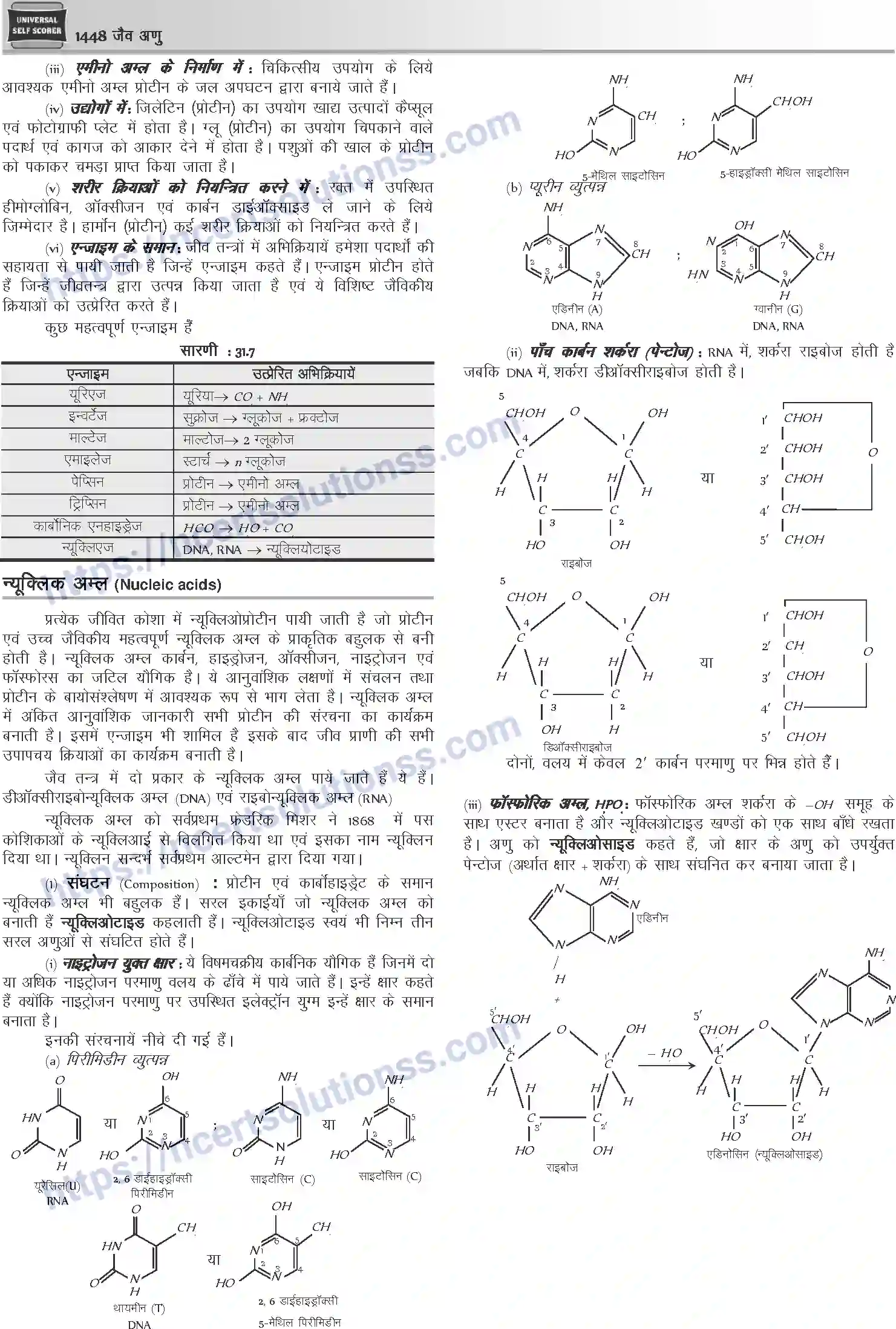NCERT-Notes-Class-12-Chemistry-जैवअणु-1101-page-13