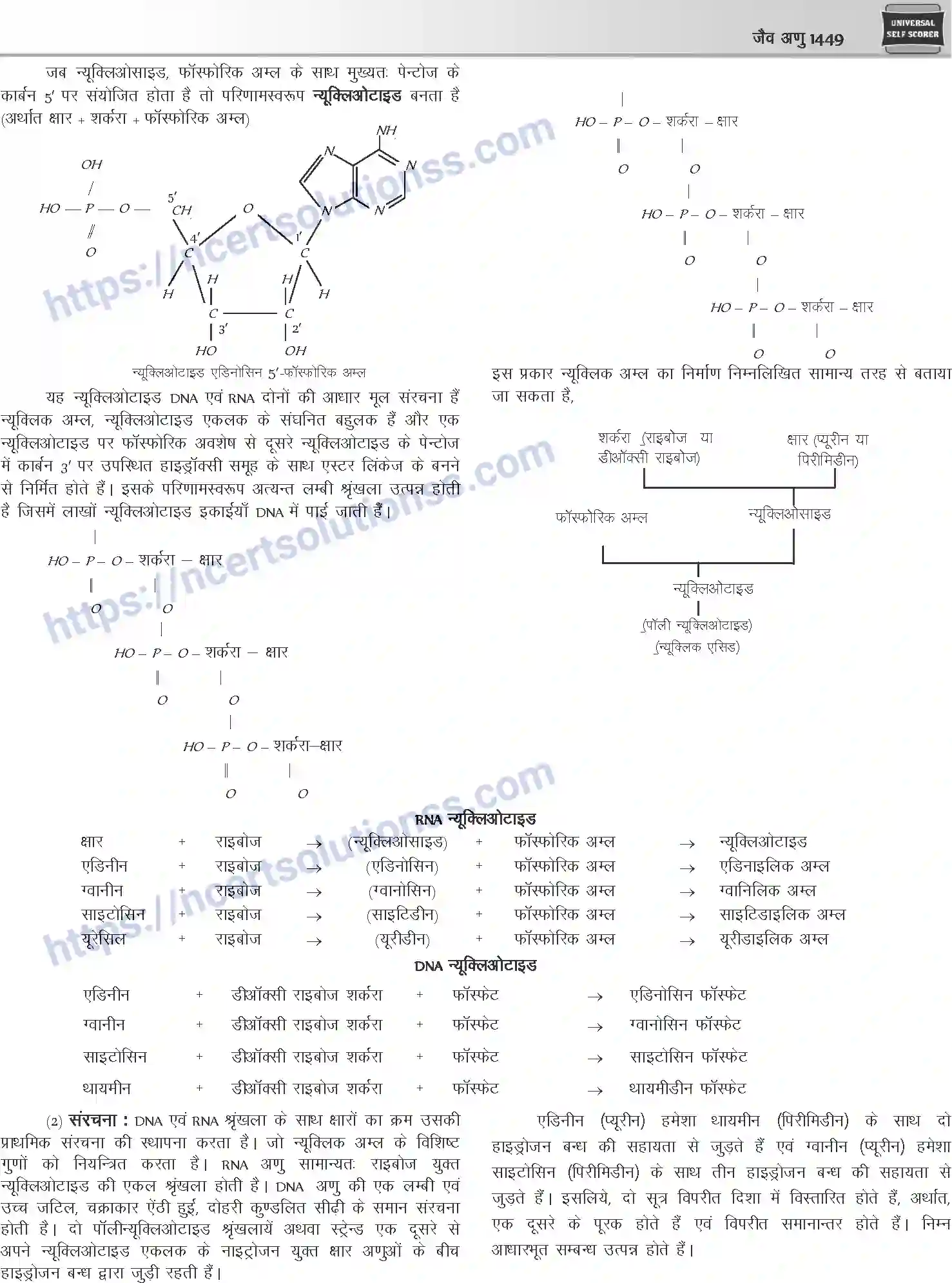 NCERT-Notes-Class-12-Chemistry-जैवअणु-1101-page-14