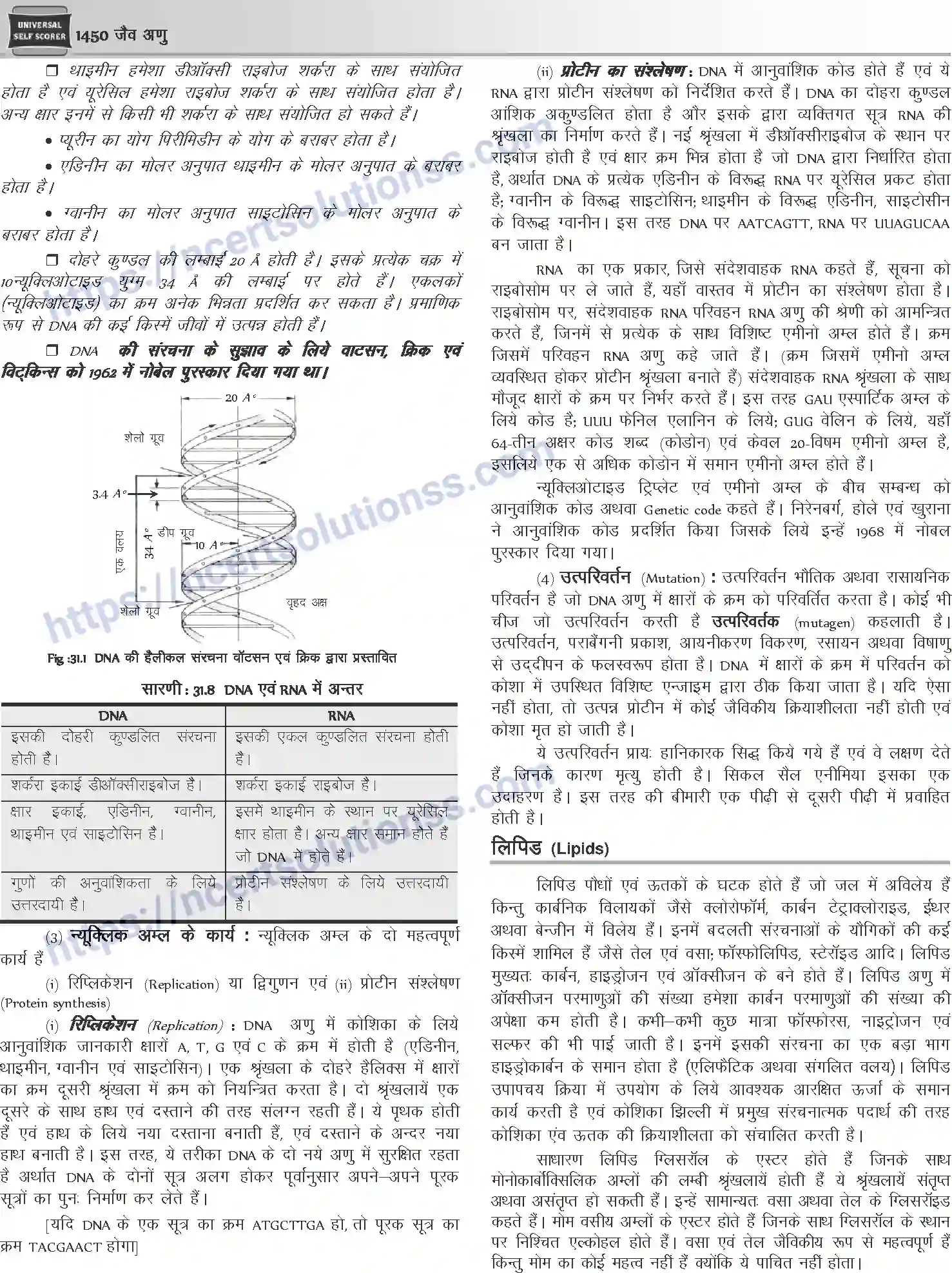 NCERT-Notes-Class-12-Chemistry-जैवअणु-1101-page-15