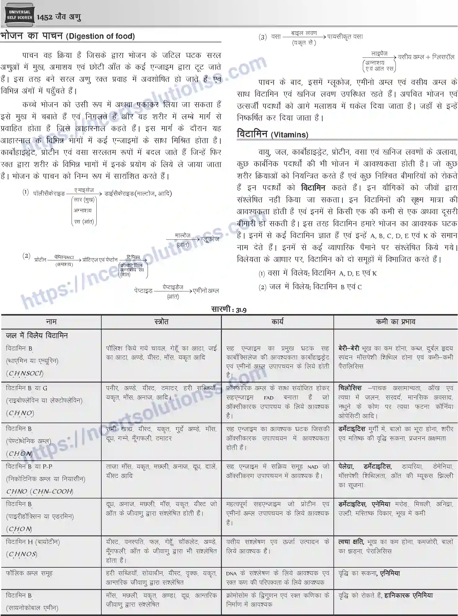 NCERT-Notes-Class-12-Chemistry-जैवअणु-1101-page-17