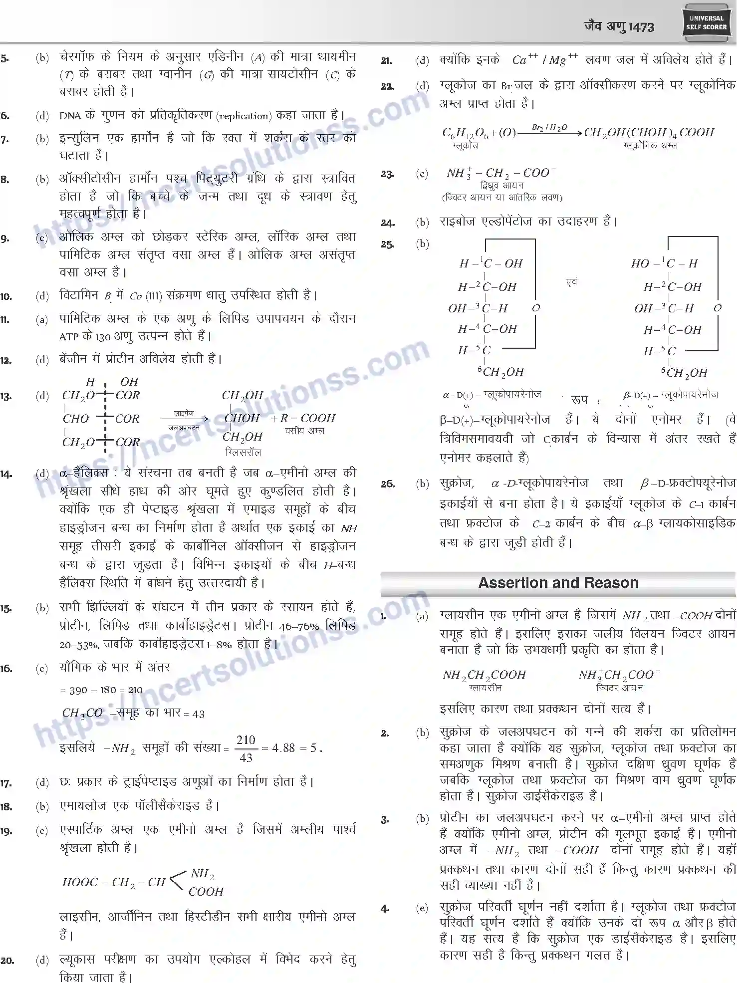 NCERT-Notes-Class-12-Chemistry-जैवअणु-1101-page-38