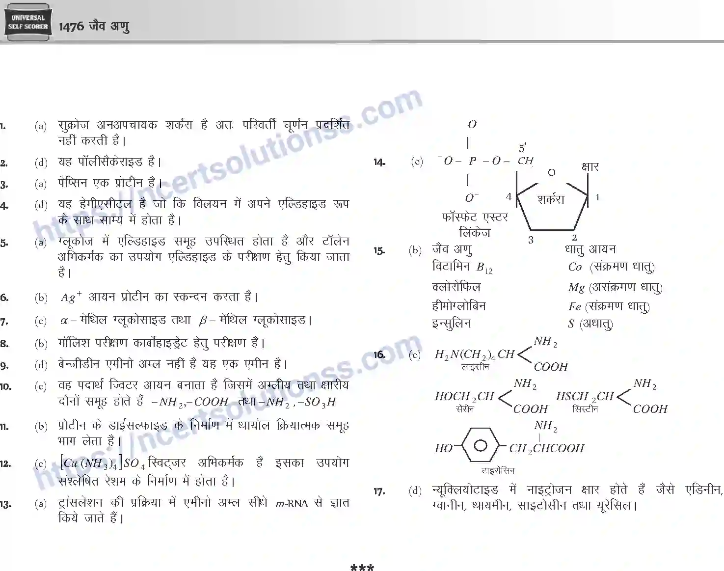 NCERT-Notes-Class-12-Chemistry-जैवअणु-1101-page-41