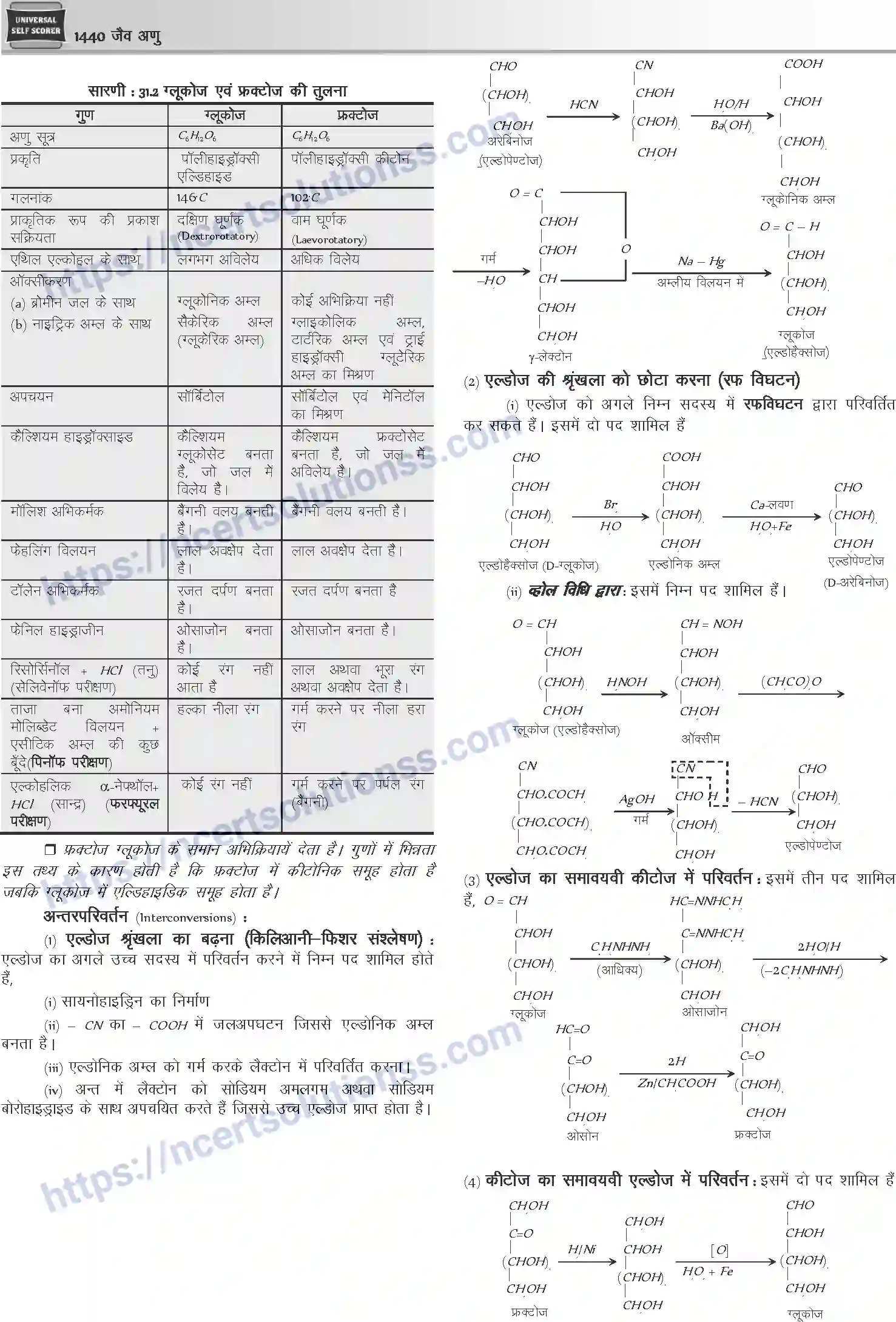 NCERT-Notes-Class-12-Chemistry-जैवअणु-1101-page-5
