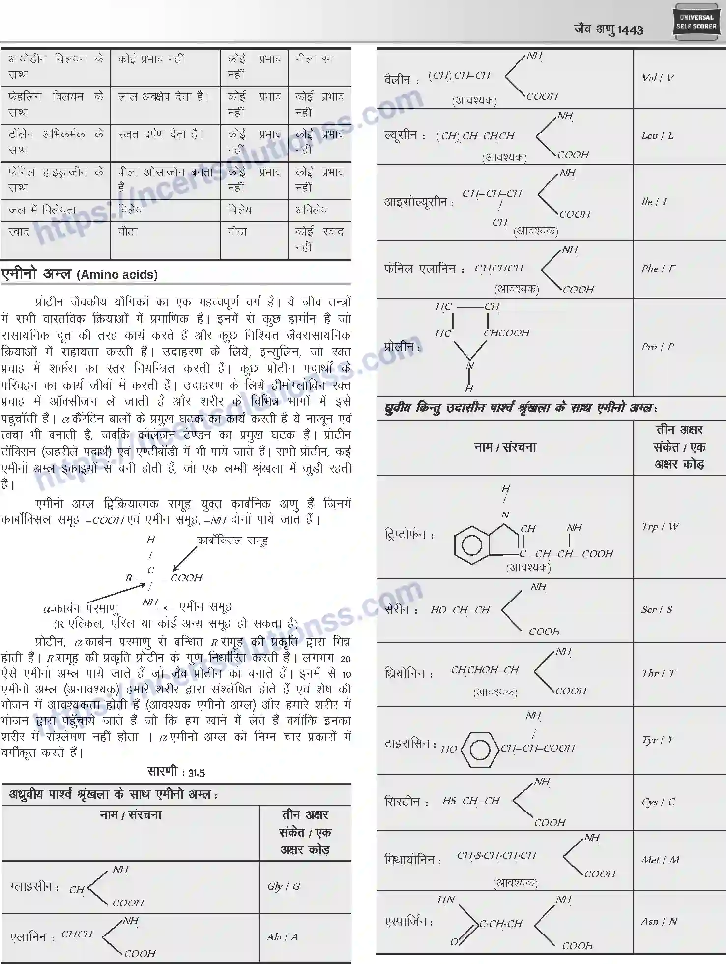 NCERT-Notes-Class-12-Chemistry-जैवअणु-1101-page-8