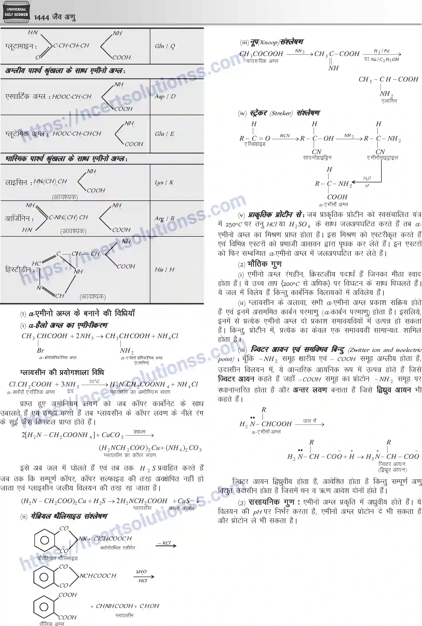 NCERT-Notes-Class-12-Chemistry-जैवअणु-1101-page-9