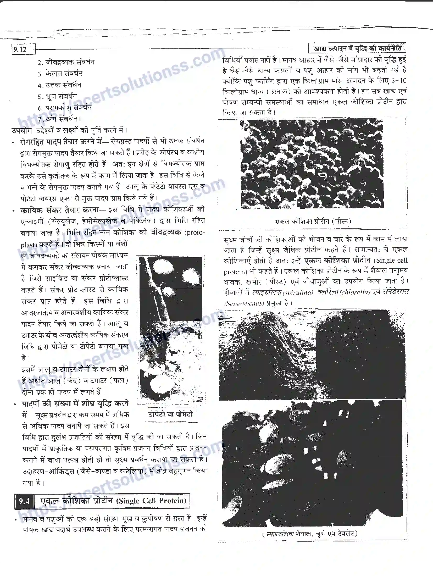 NCERT-Notes-Class-12-जीवand-विज्ञान-खाध-उत्पादन-में-वृद्धि-कार्यनीति-947-page-12