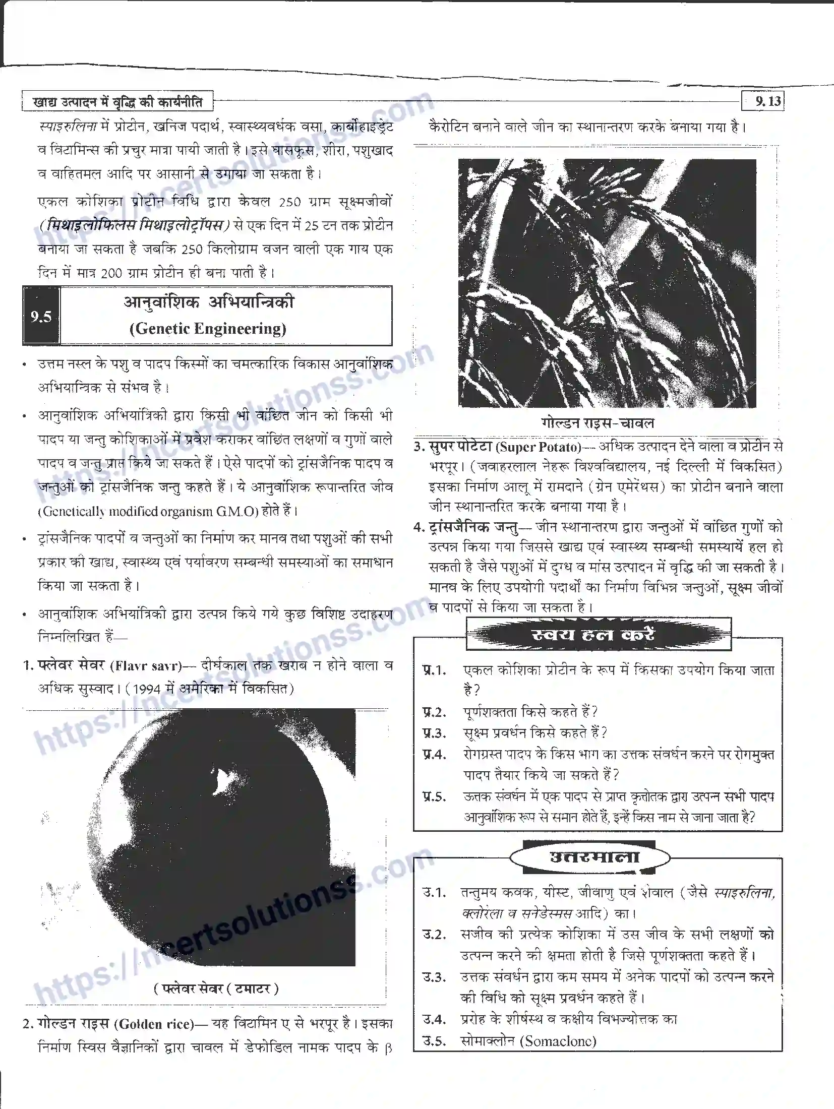 NCERT-Notes-Class-12-जीवand-विज्ञान-खाध-उत्पादन-में-वृद्धि-कार्यनीति-947-page-13
