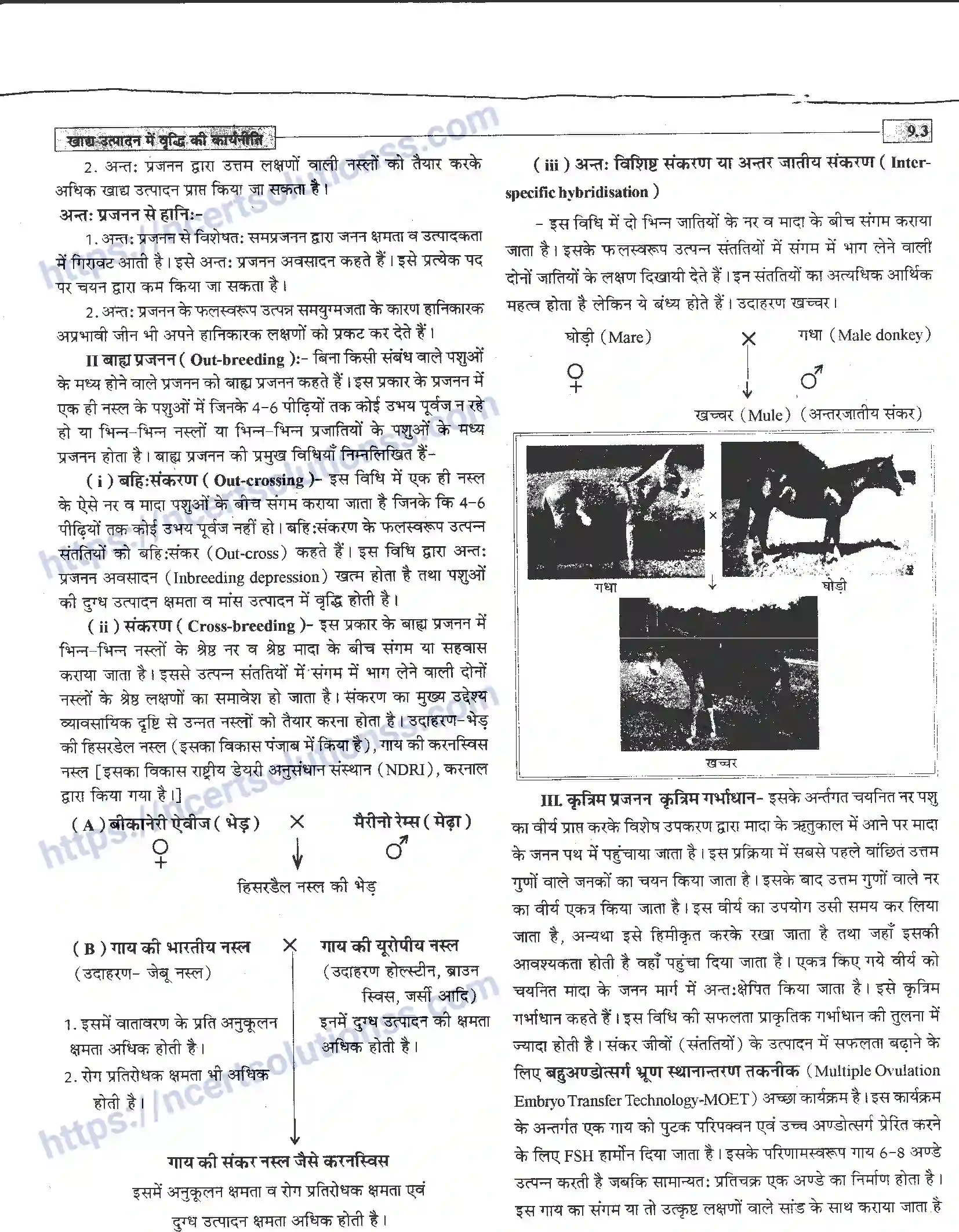 NCERT-Notes-Class-12-जीवand-विज्ञान-खाध-उत्पादन-में-वृद्धि-कार्यनीति-947-page-3