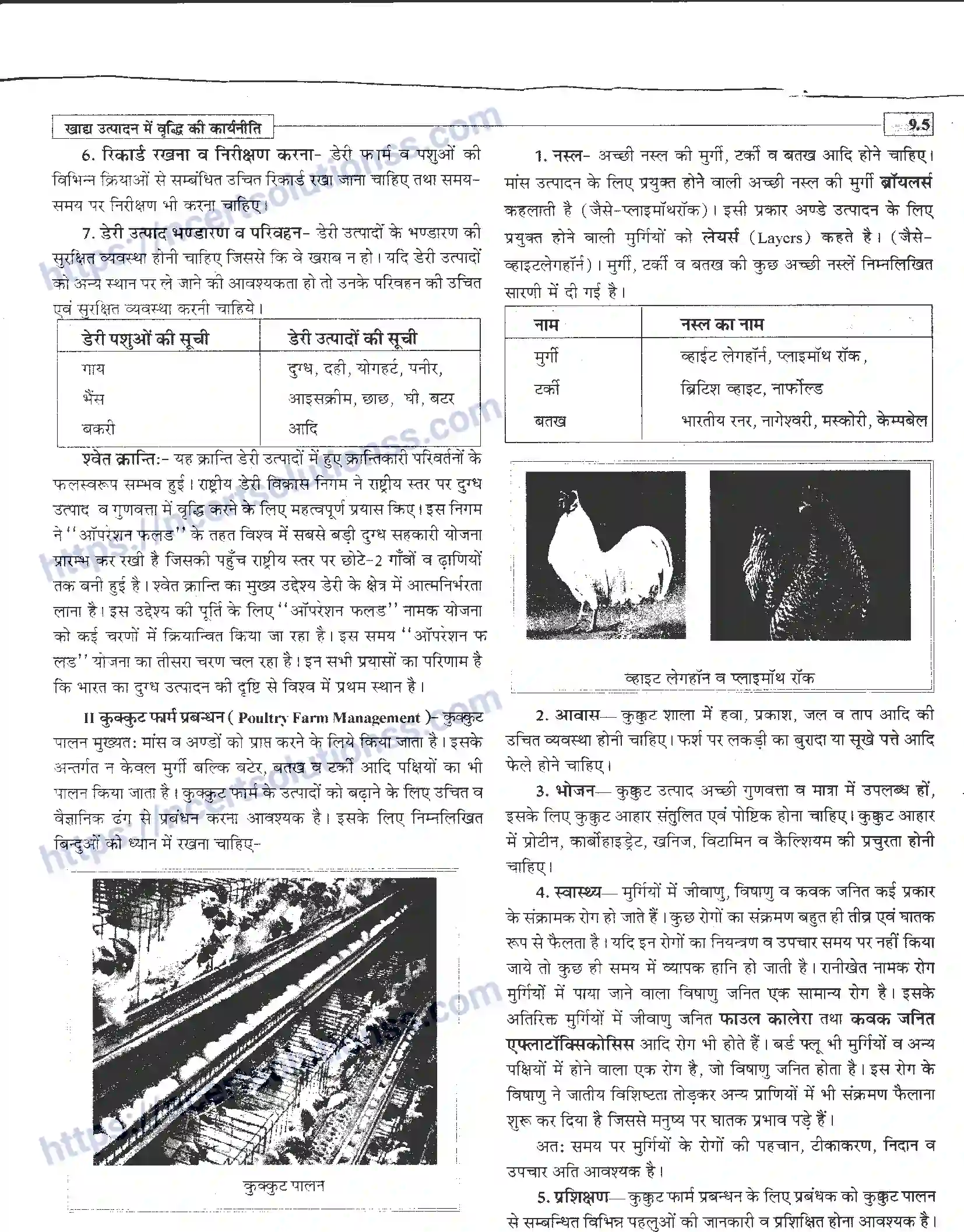 NCERT-Notes-Class-12-जीवand-विज्ञान-खाध-उत्पादन-में-वृद्धि-कार्यनीति-947-page-5