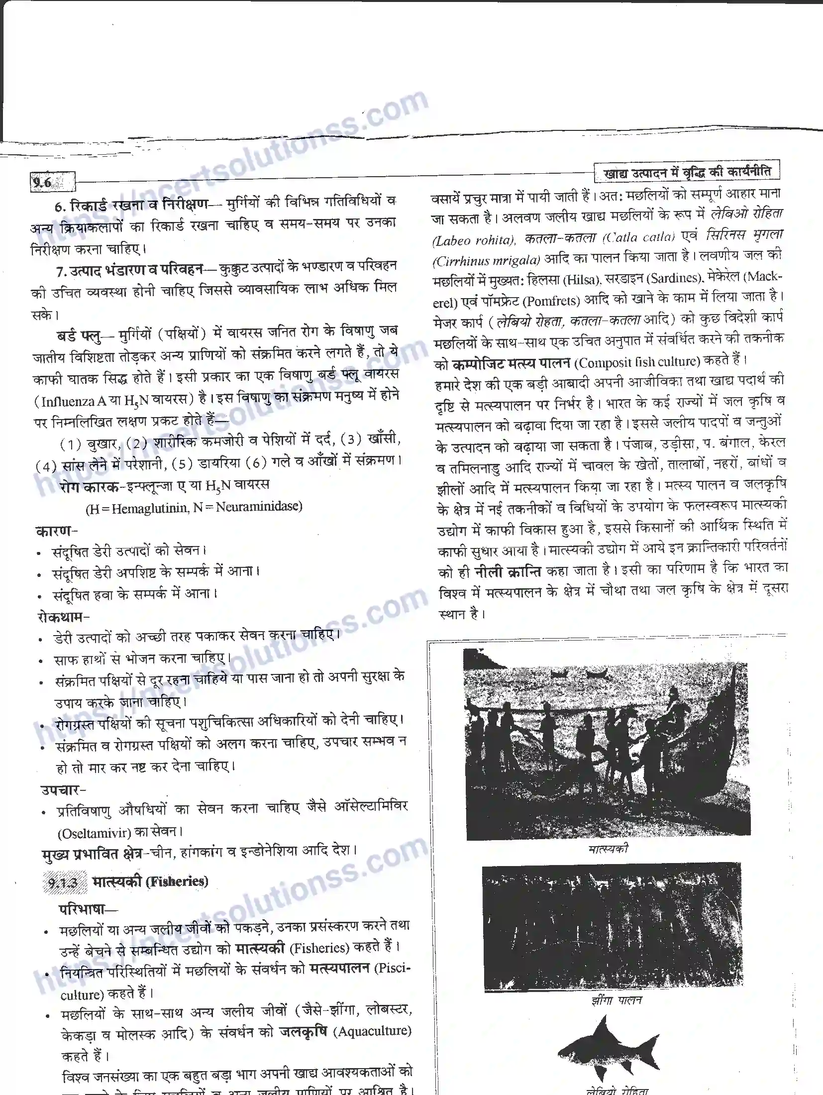 NCERT-Notes-Class-12-जीवand-विज्ञान-खाध-उत्पादन-में-वृद्धि-कार्यनीति-947-page-6