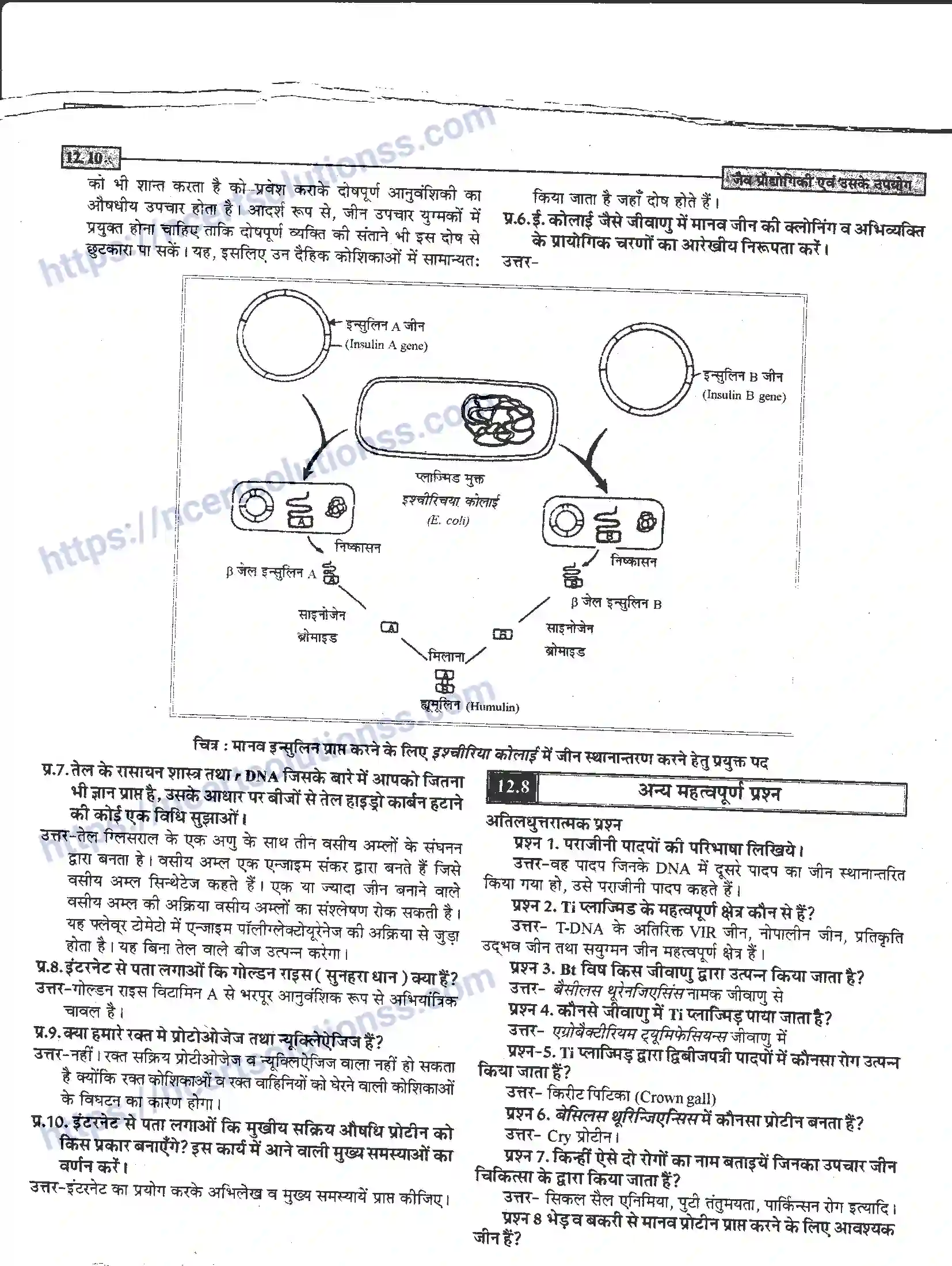 NCERT-Notes-Class-12-जीवand-विज्ञान-जैव-प्रोधोगिकी-एवं-उसके-उपयोग-950-page-10