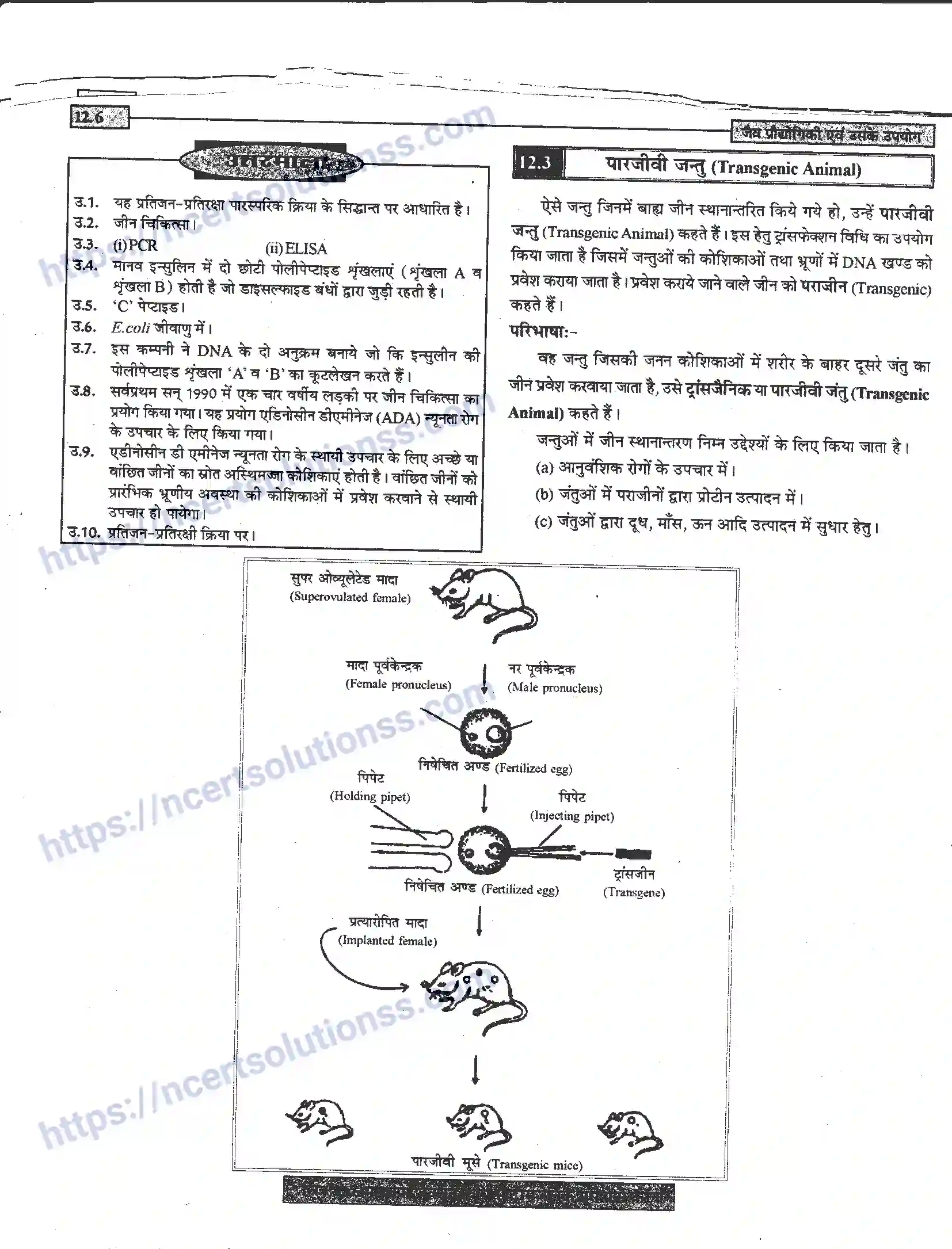 NCERT-Notes-Class-12-जीवand-विज्ञान-जैव-प्रोधोगिकी-एवं-उसके-उपयोग-950-page-6