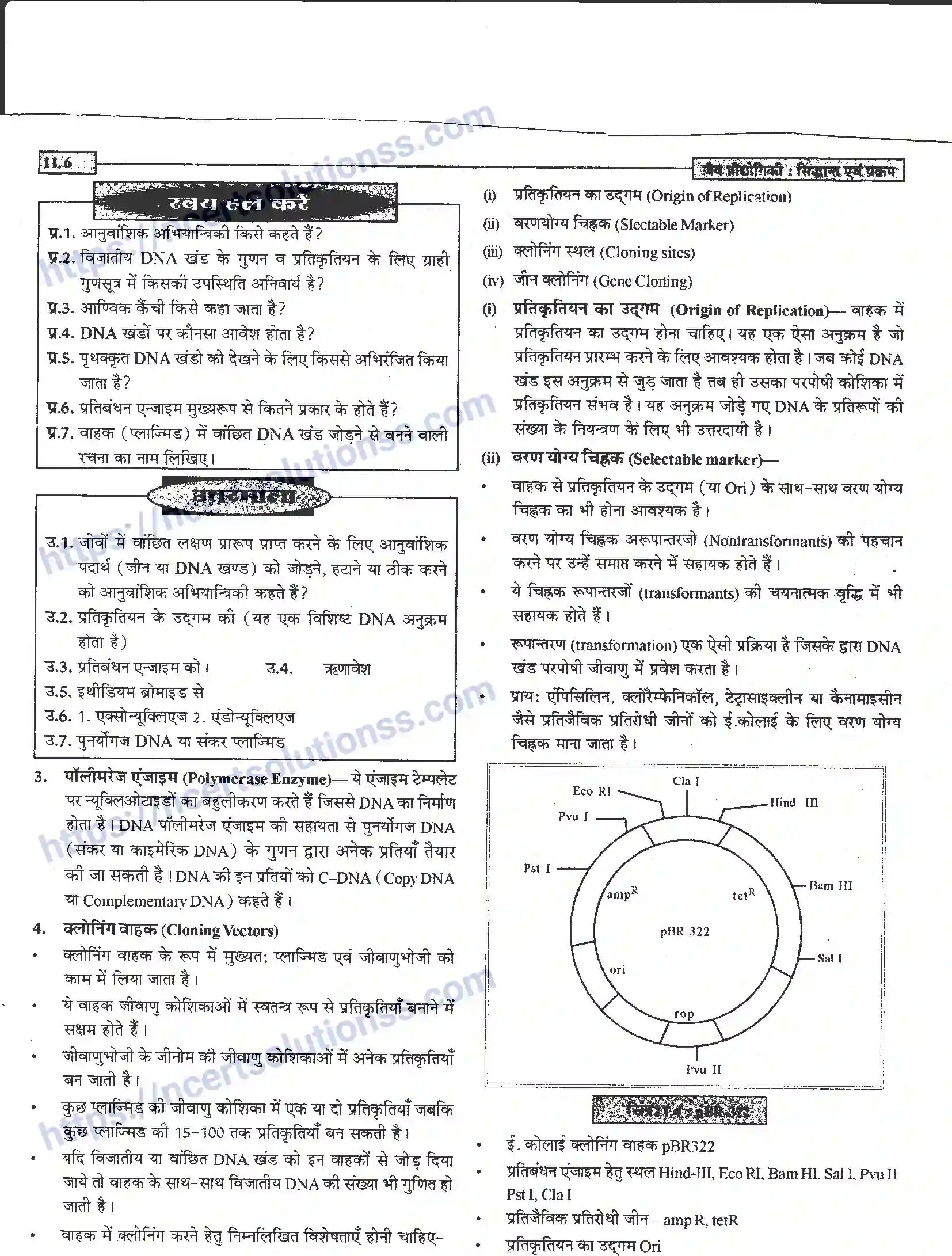 NCERT-Notes-Class-12-जीवand-विज्ञान-जैव-प्रोधोगिकीand--सिद्धान्त-एवं-प्रक्रम-949-page-6