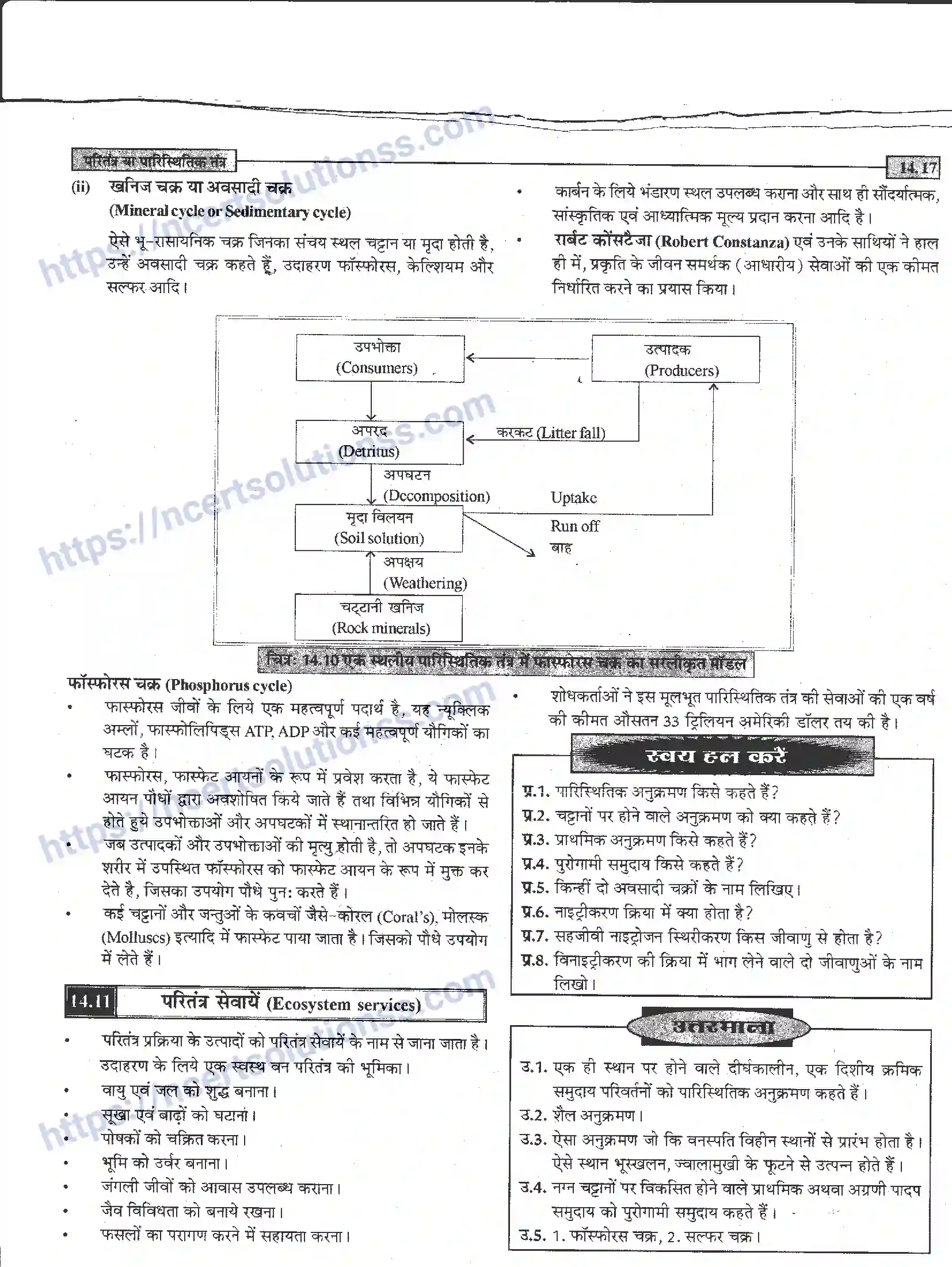 NCERT-Notes-Class-12-जीवand-विज्ञान-पारितंत्र-या-पारिस्थितिक-तंत्र-952-page-17