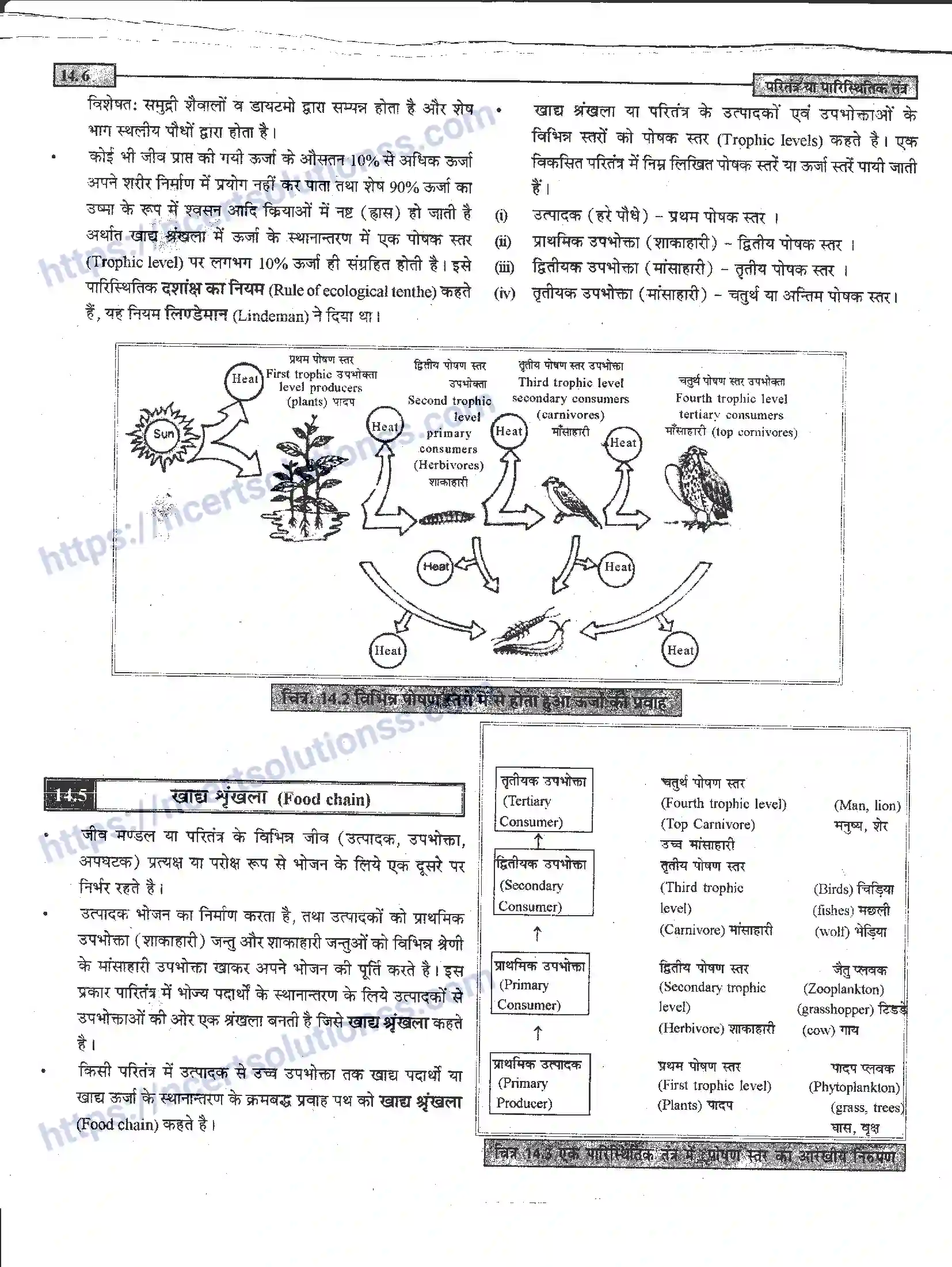 NCERT-Notes-Class-12-जीवand-विज्ञान-पारितंत्र-या-पारिस्थितिक-तंत्र-952-page-6