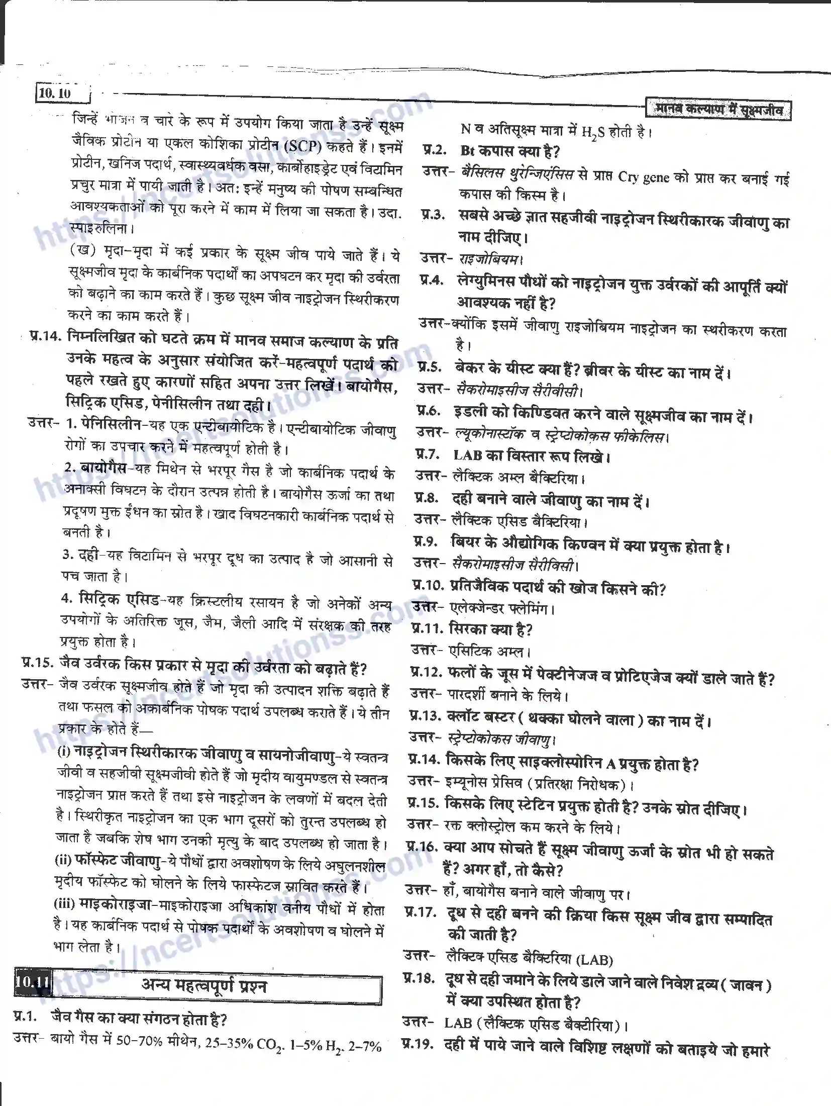 NCERT-Notes-Class-12-जीवand-विज्ञान-मानव-कल्याण-में-सूक्ष्मजीव-948-page-10