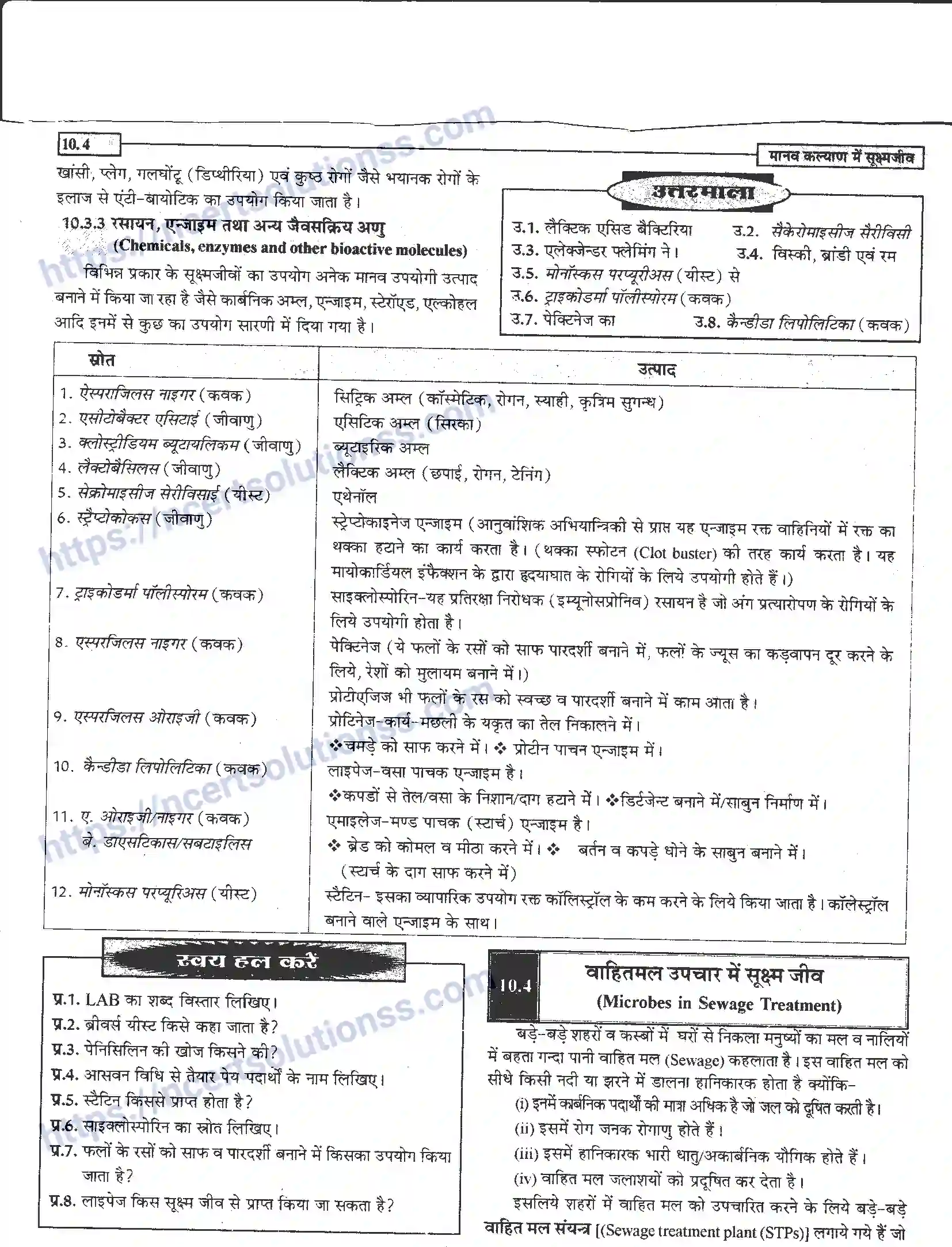 NCERT-Notes-Class-12-जीवand-विज्ञान-मानव-कल्याण-में-सूक्ष्मजीव-948-page-4