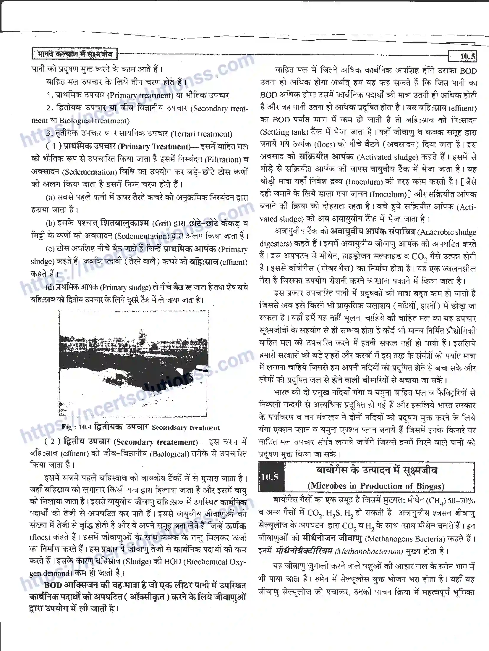 NCERT-Notes-Class-12-जीवand-विज्ञान-मानव-कल्याण-में-सूक्ष्मजीव-948-page-5