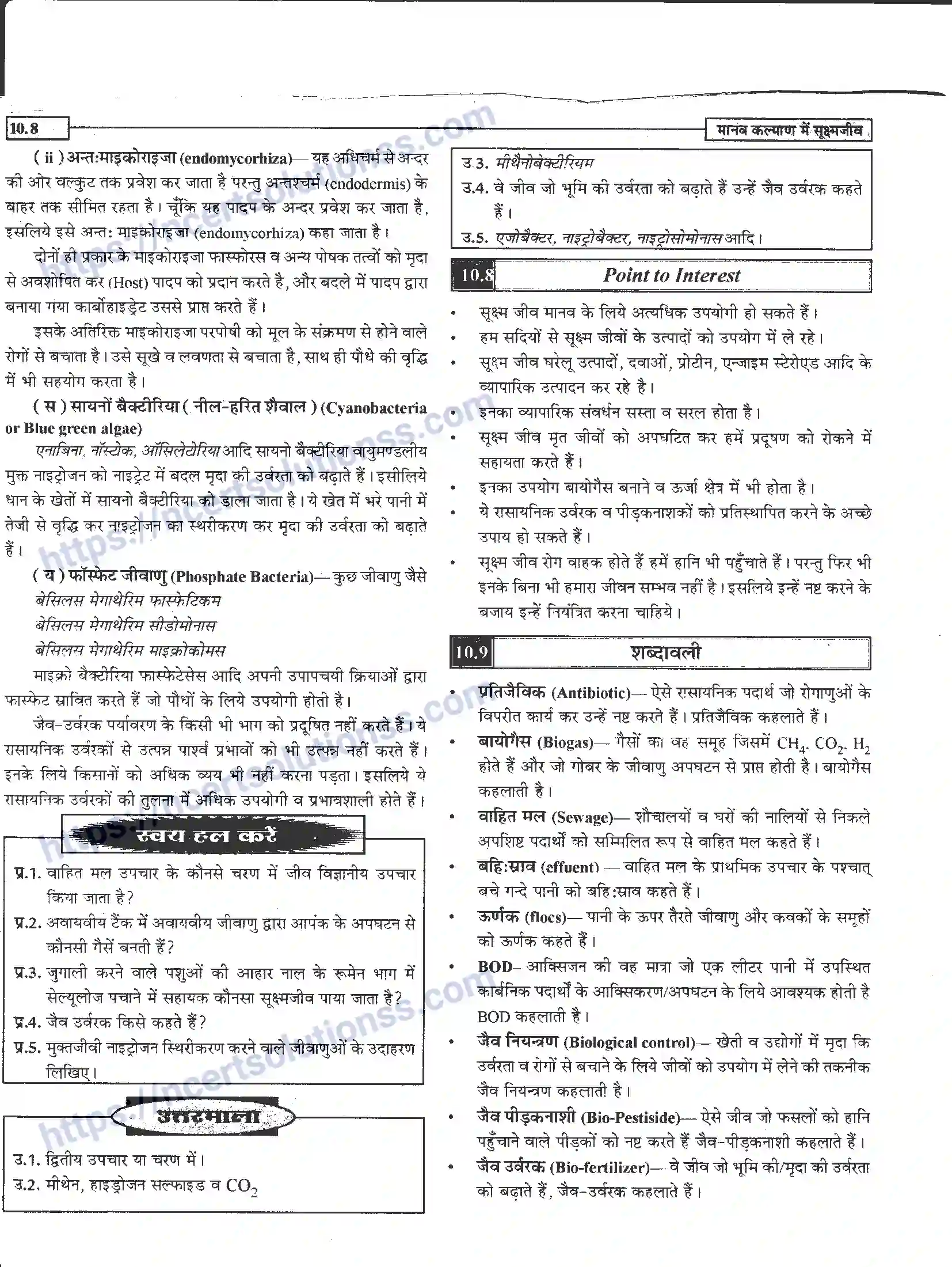 NCERT-Notes-Class-12-जीवand-विज्ञान-मानव-कल्याण-में-सूक्ष्मजीव-948-page-8