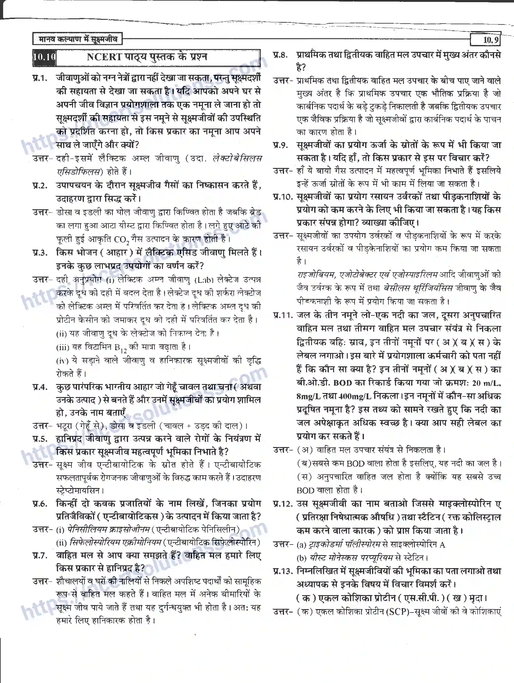 NCERT-Notes-Class-12-जीवand-विज्ञान-मानव-कल्याण-में-सूक्ष्मजीव-948-page-9