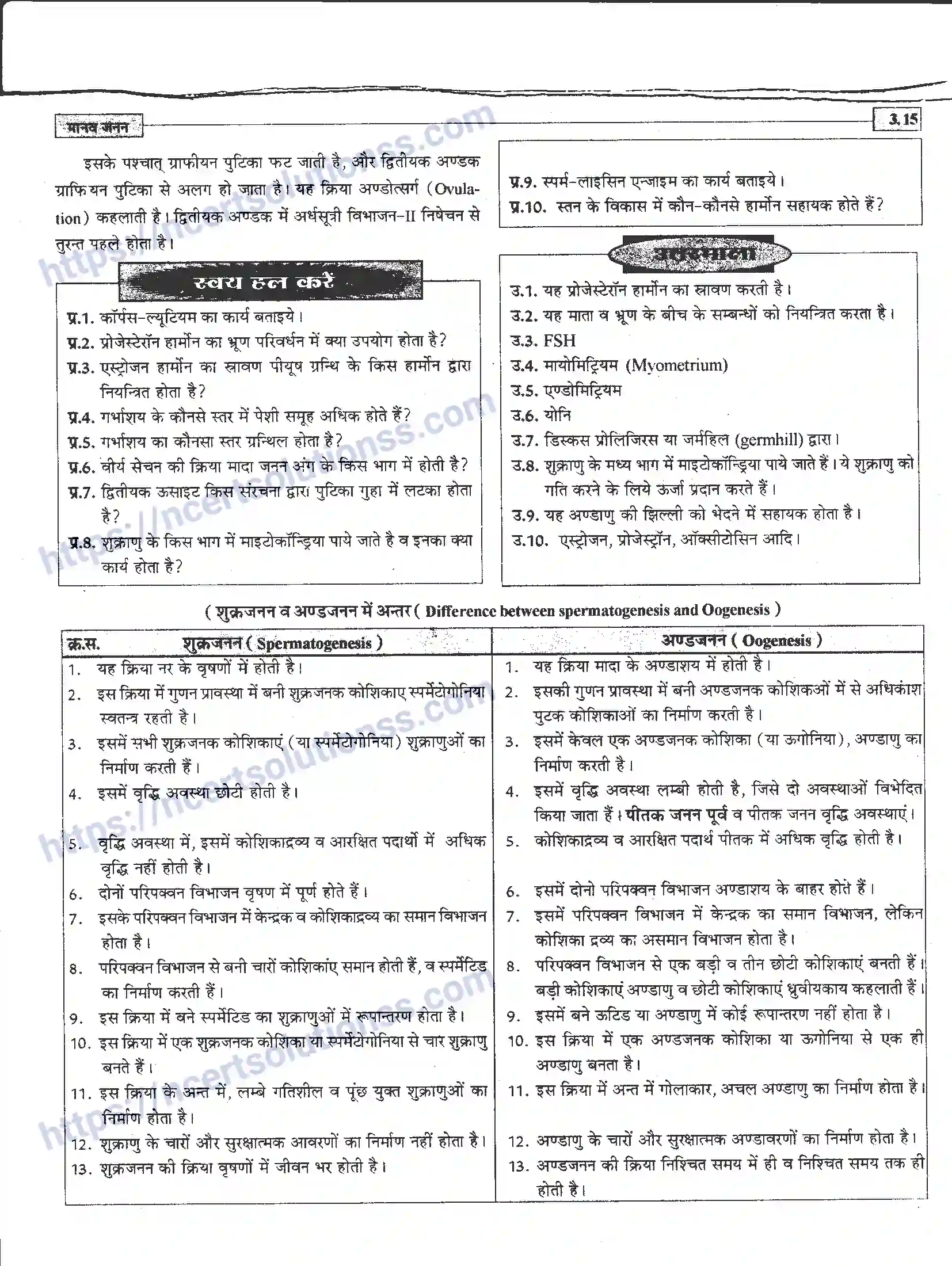 NCERT-Notes-Class-12-जीवand-विज्ञान-मानव-जनन-941-page-15