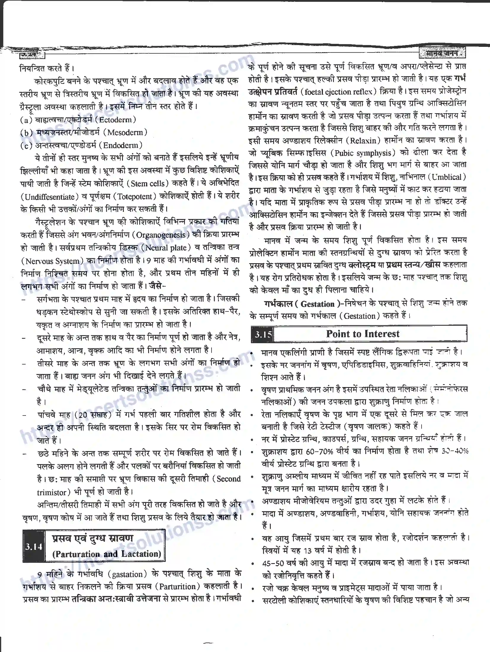 NCERT-Notes-Class-12-जीवand-विज्ञान-मानव-जनन-941-page-24