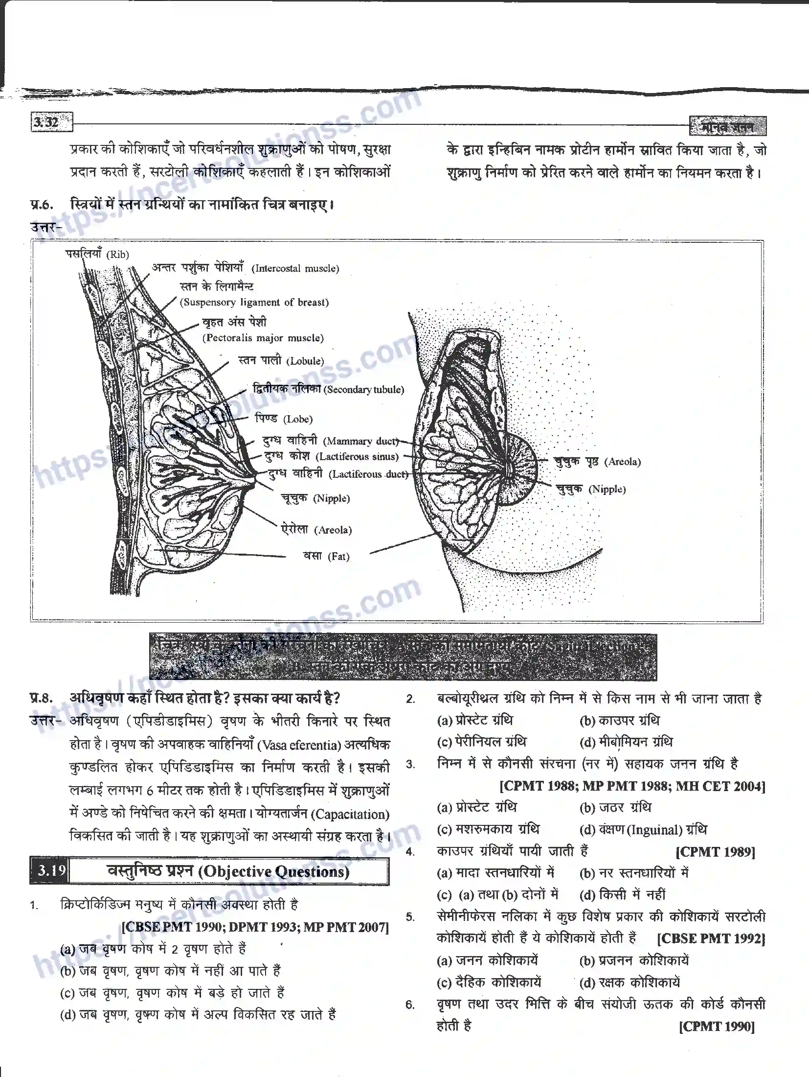 NCERT-Notes-Class-12-जीवand-विज्ञान-मानव-जनन-941-page-32