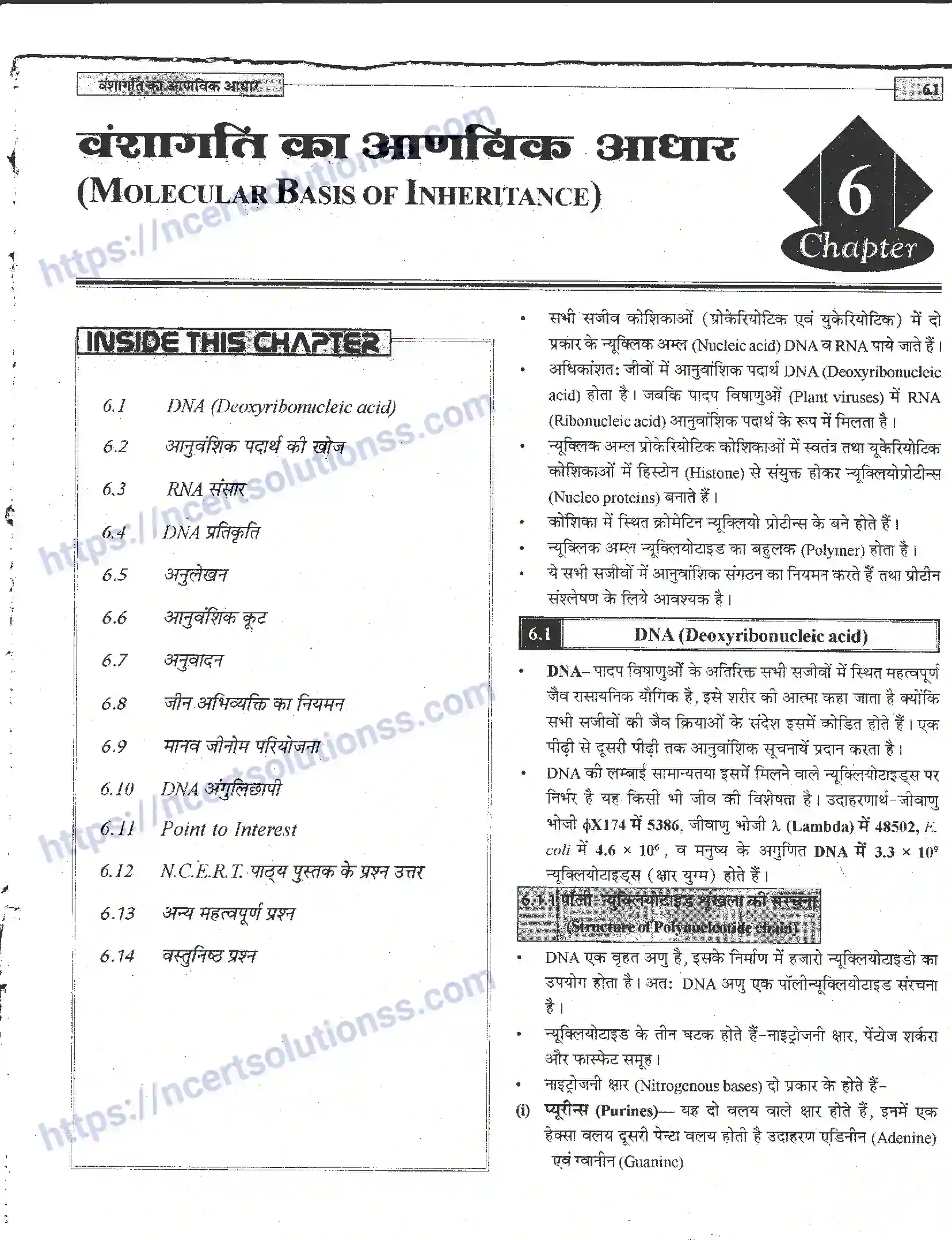 NCERT-Notes-Class-12-जीवand-विज्ञान-वंशागति-का-आणविक-आधार-944-page-1