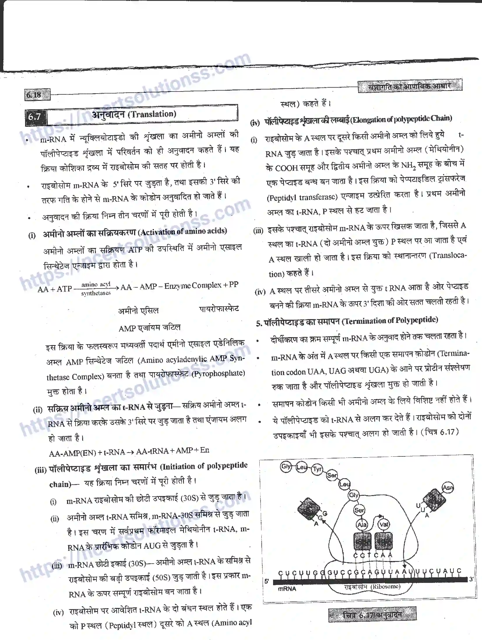 NCERT-Notes-Class-12-जीवand-विज्ञान-वंशागति-का-आणविक-आधार-944-page-18