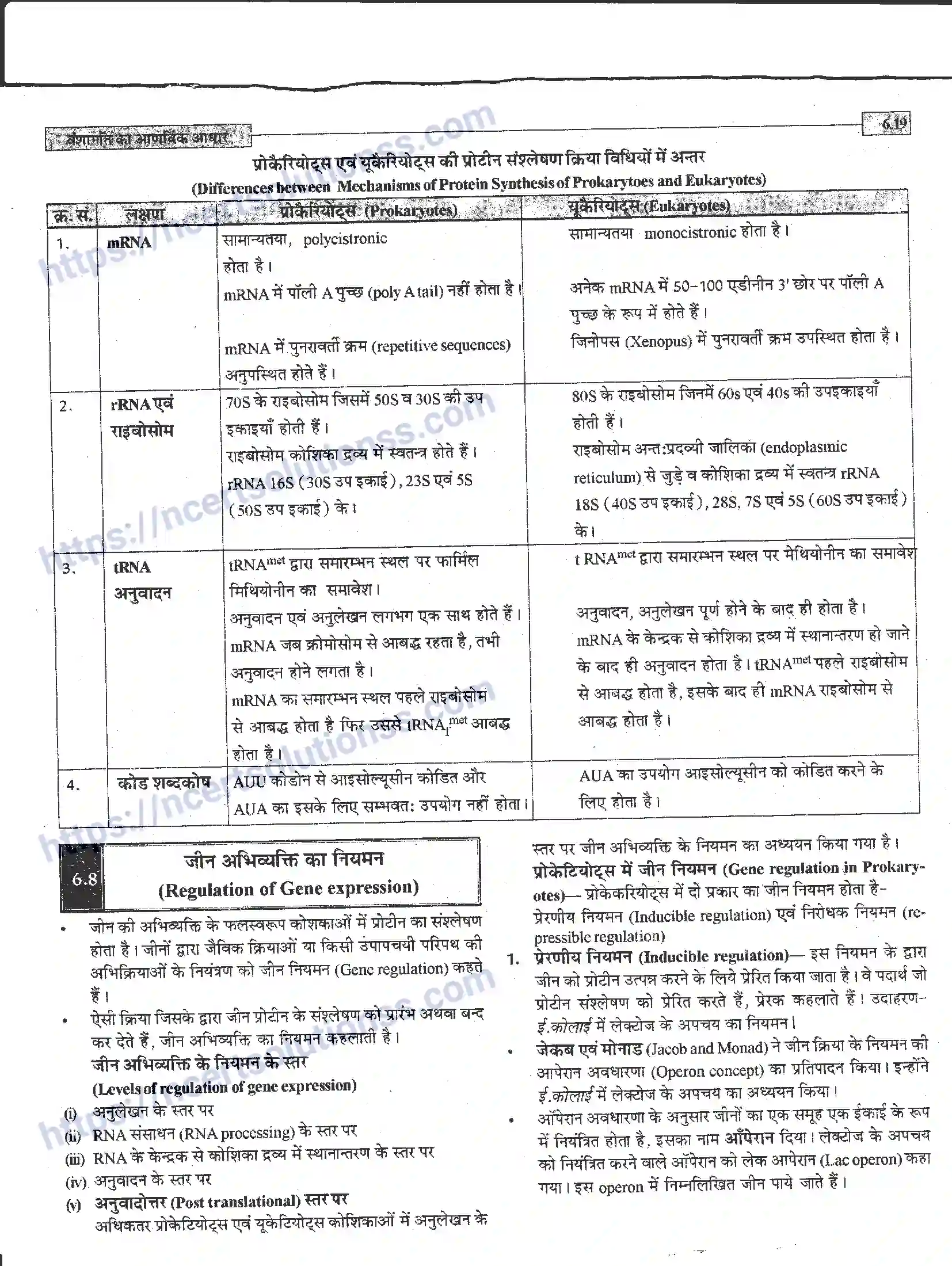 NCERT-Notes-Class-12-जीवand-विज्ञान-वंशागति-का-आणविक-आधार-944-page-19